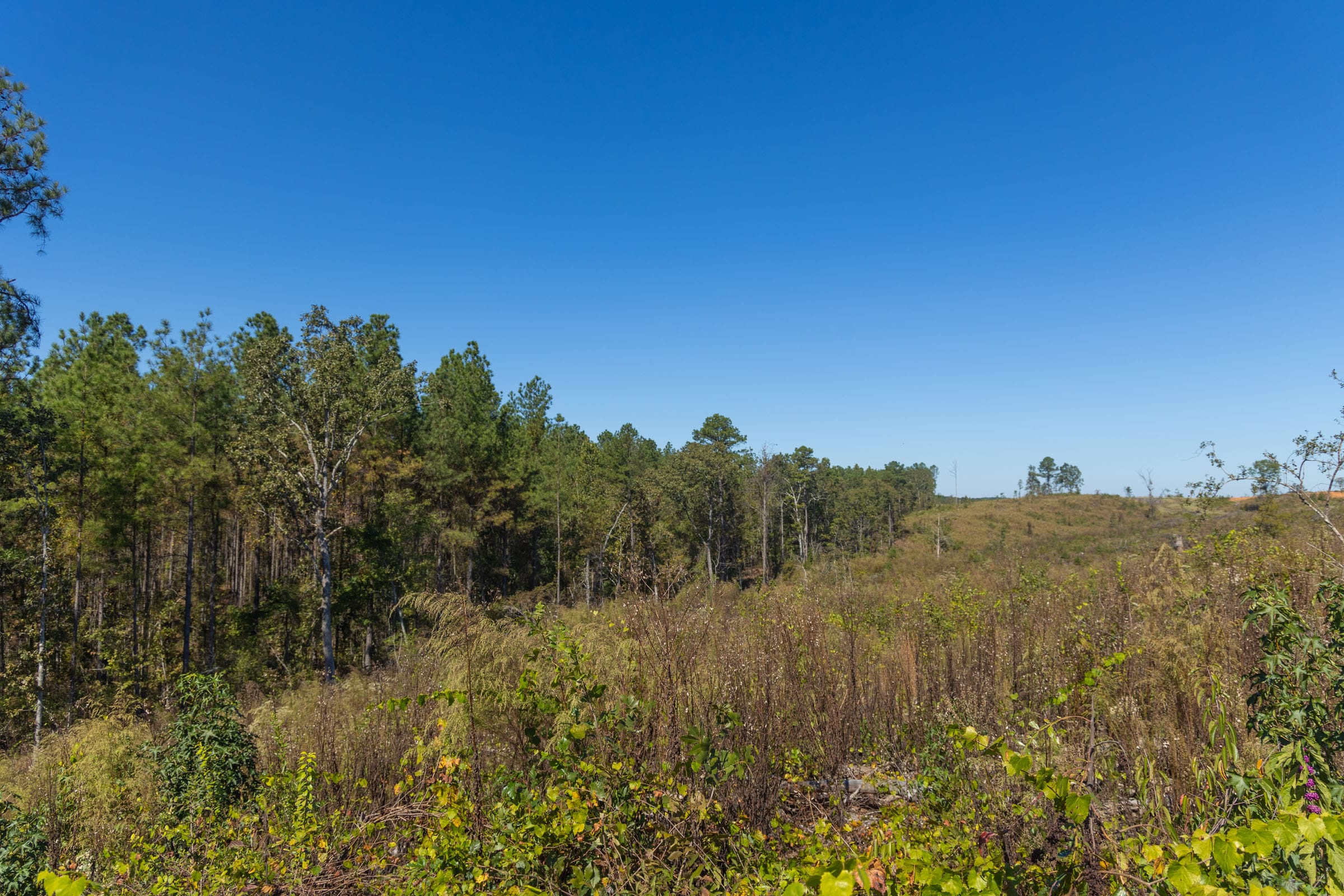 Meyer’s Ridge Tract 41 photo 8