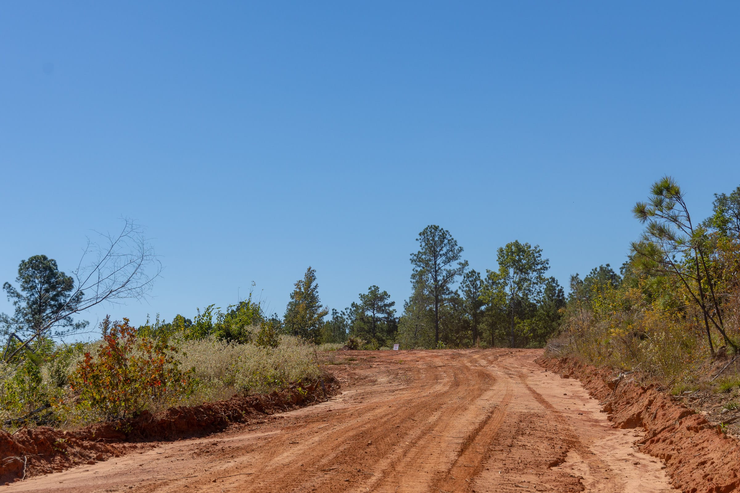 Meyer’s Ridge Tract 41 photo 7