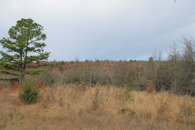 Indian Ridge – Phase I Tract 20 photo 3