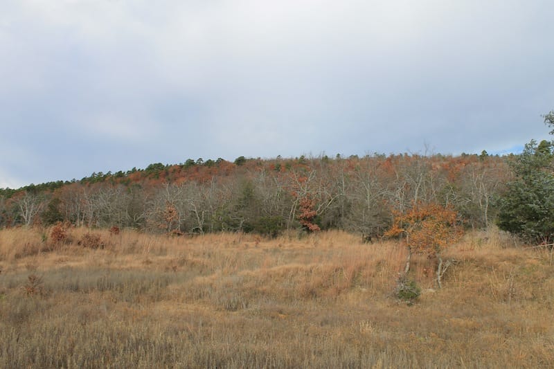 Indian Ridge – Phase I Tract 20 photo 4