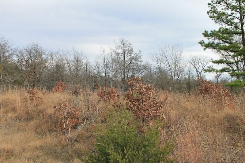 Indian Ridge – Phase I Tract 20 photo 5
