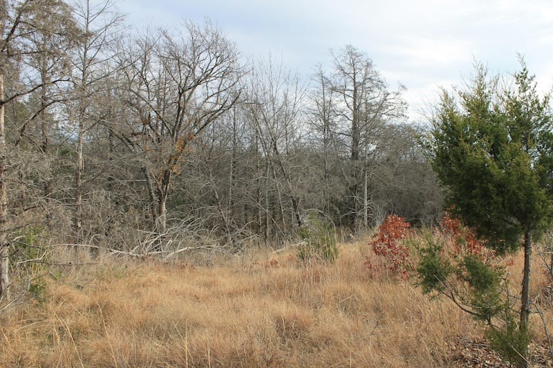 Indian Ridge – Phase I Tract 20 photo 7