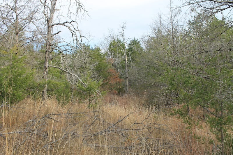 Indian Ridge – Phase I Tract 20 photo 8