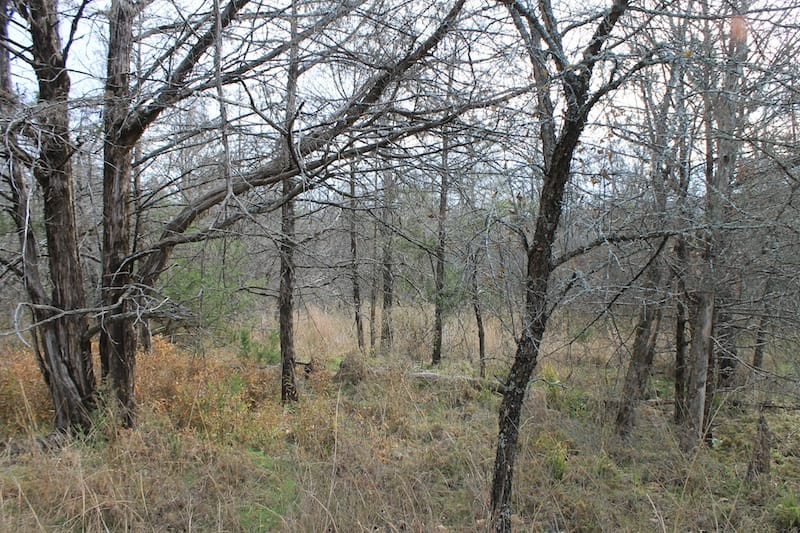 Indian Ridge – Phase I Tract 20 photo 9