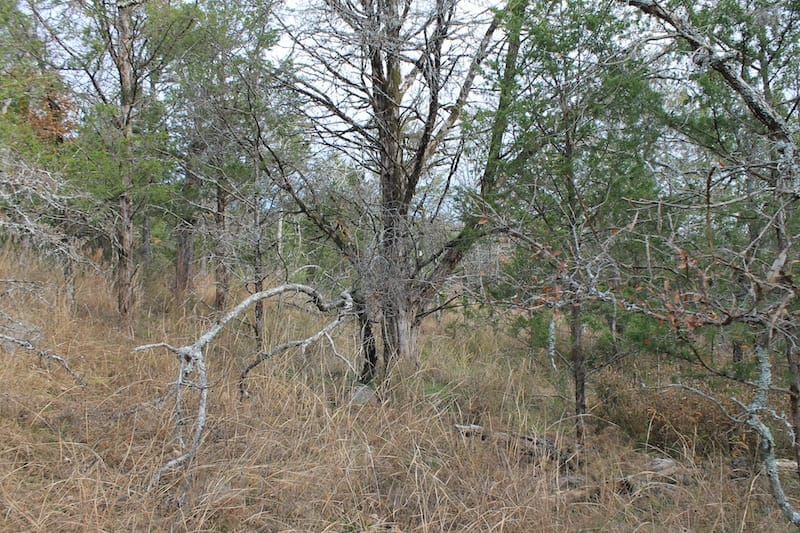 Indian Ridge – Phase I Tract 20 photo 10