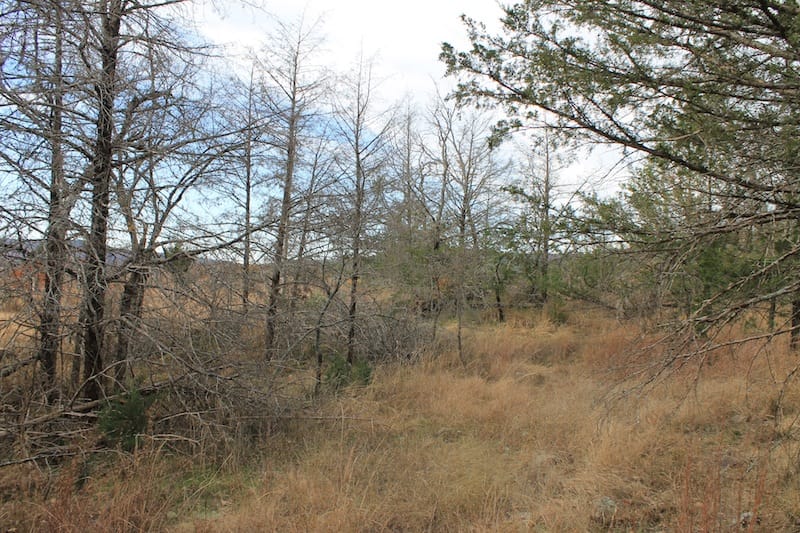 Indian Ridge – Phase I Tract 20 photo 11