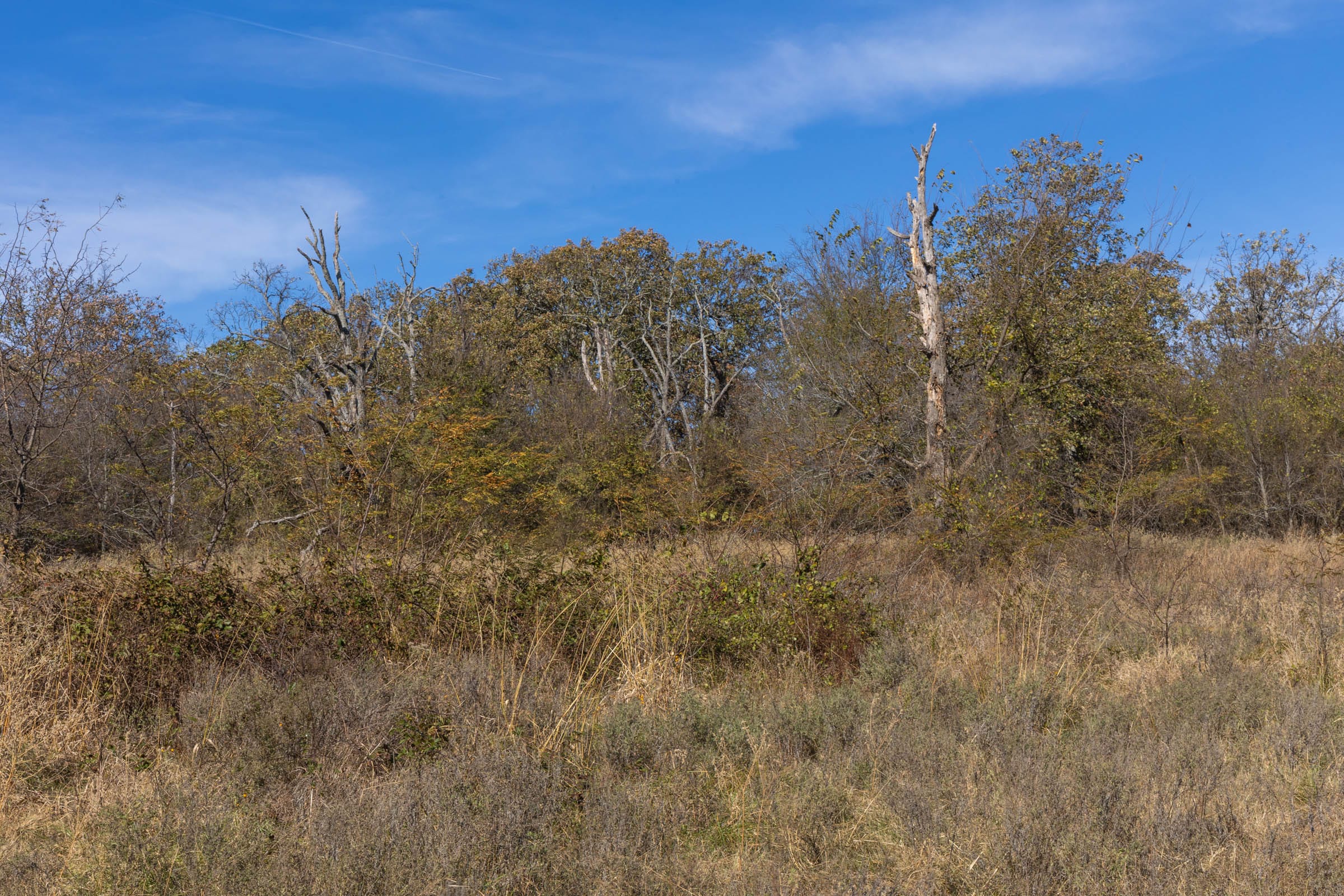 Harmony Hills Tract 37 photo 5