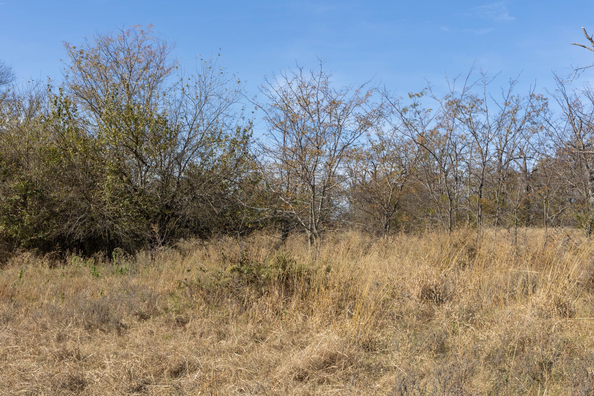 Harmony Hills Tract 37 photo 2