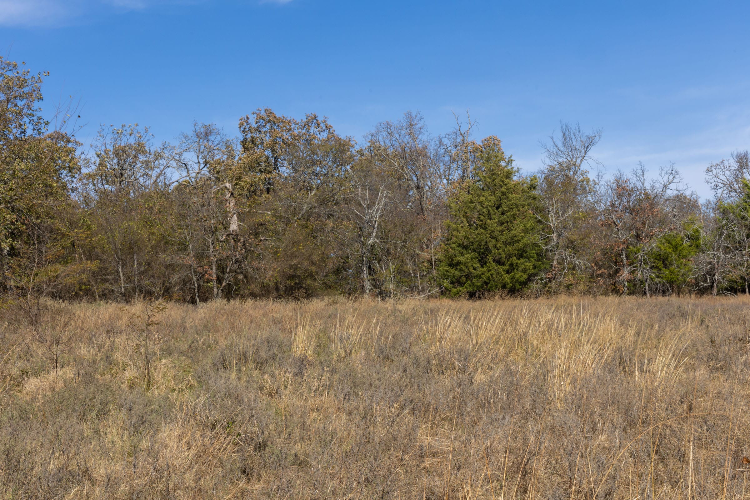 Harmony Hills Tract 37 photo 3