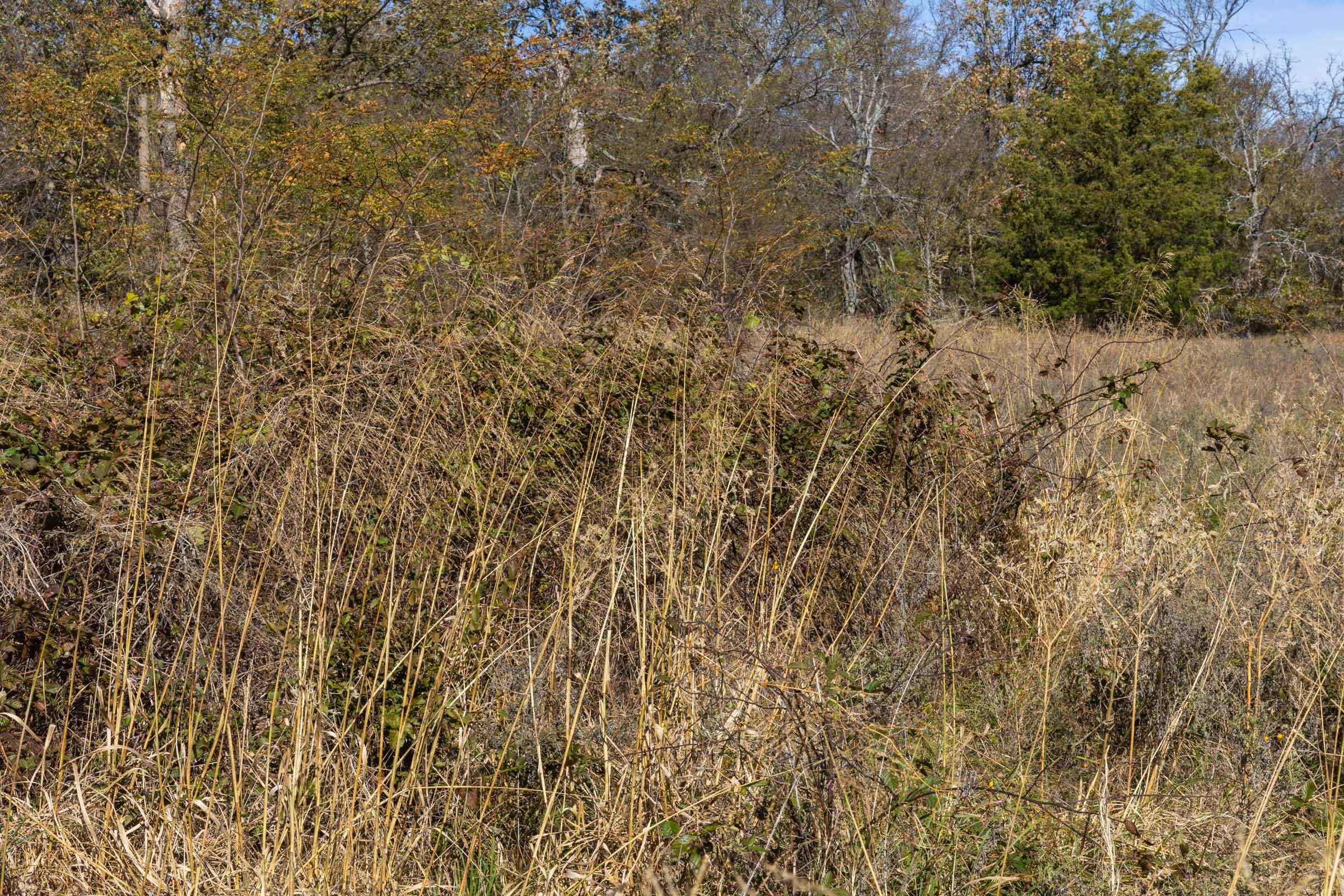 Harmony Hills Tract 37 photo 6