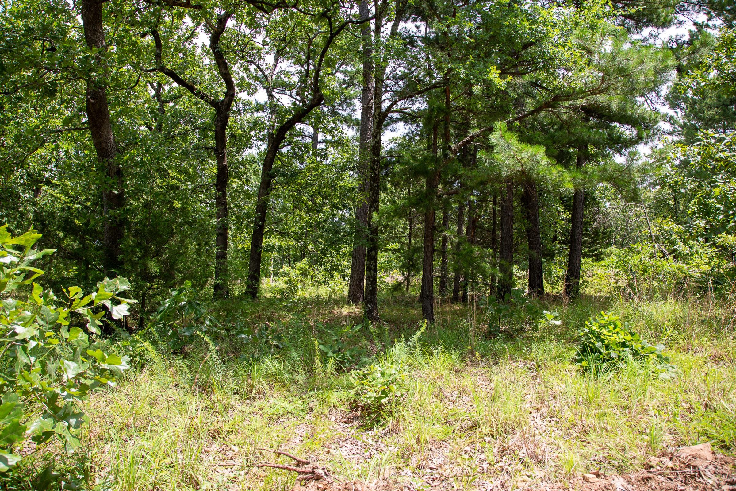 Tyler Stone Ranch Tract 21 photo 1
