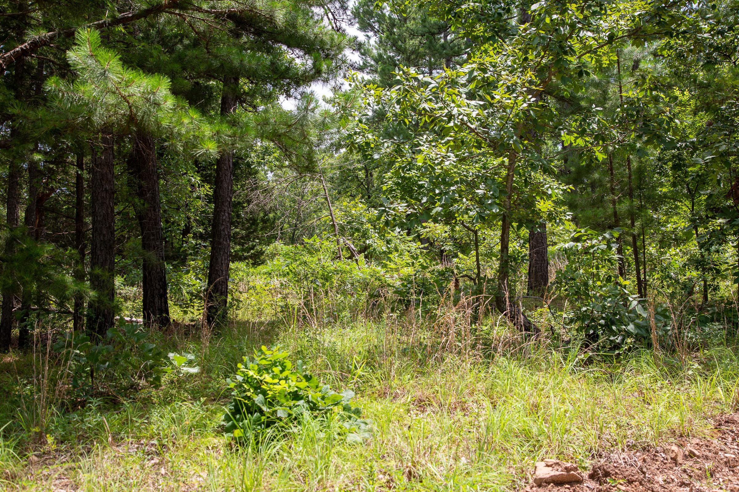 Tyler Stone Ranch Tract 21 photo 3