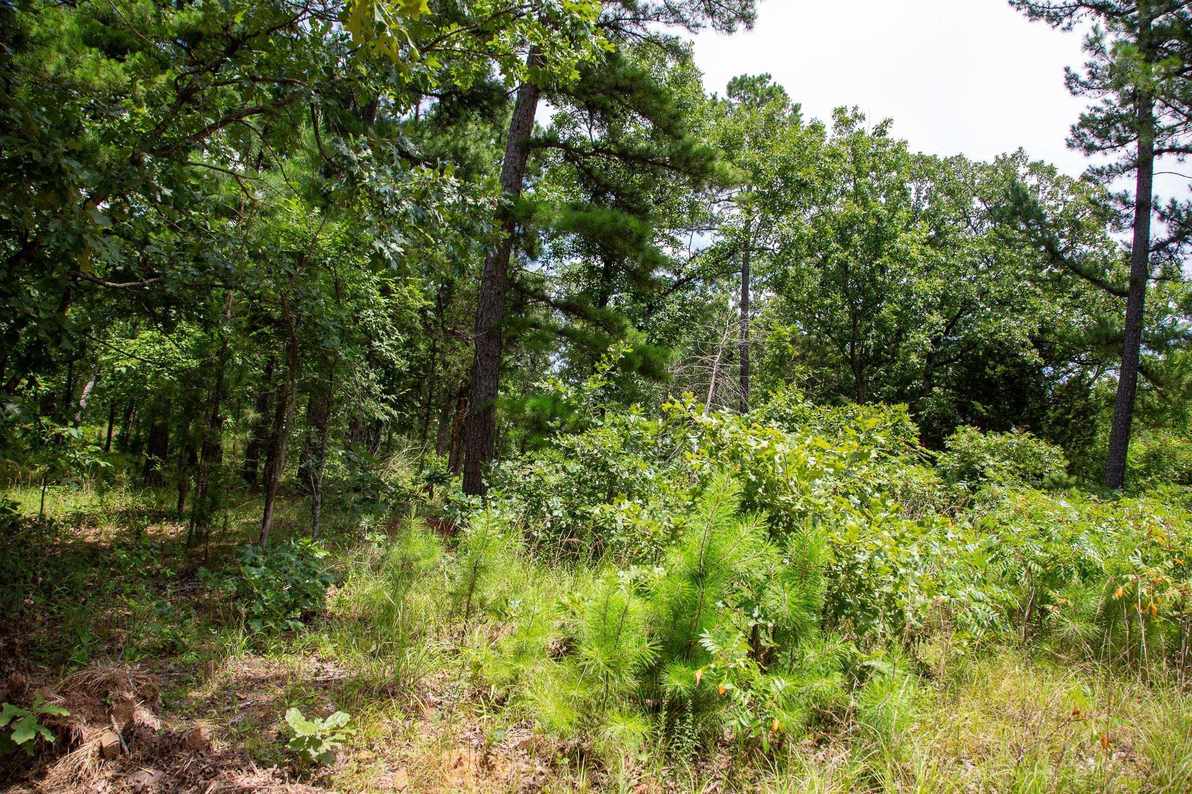 Tyler Stone Ranch Tract 21 photo 4