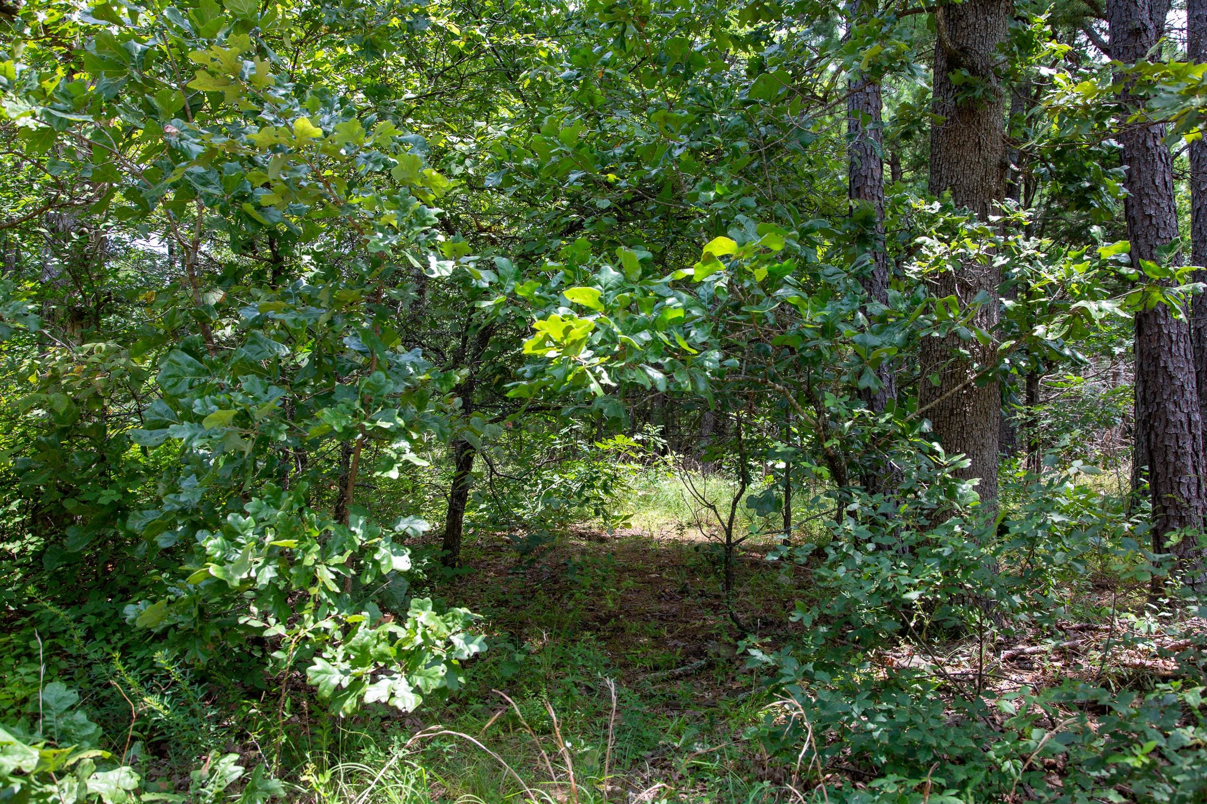 Tyler Stone Ranch Tract 21 photo 7