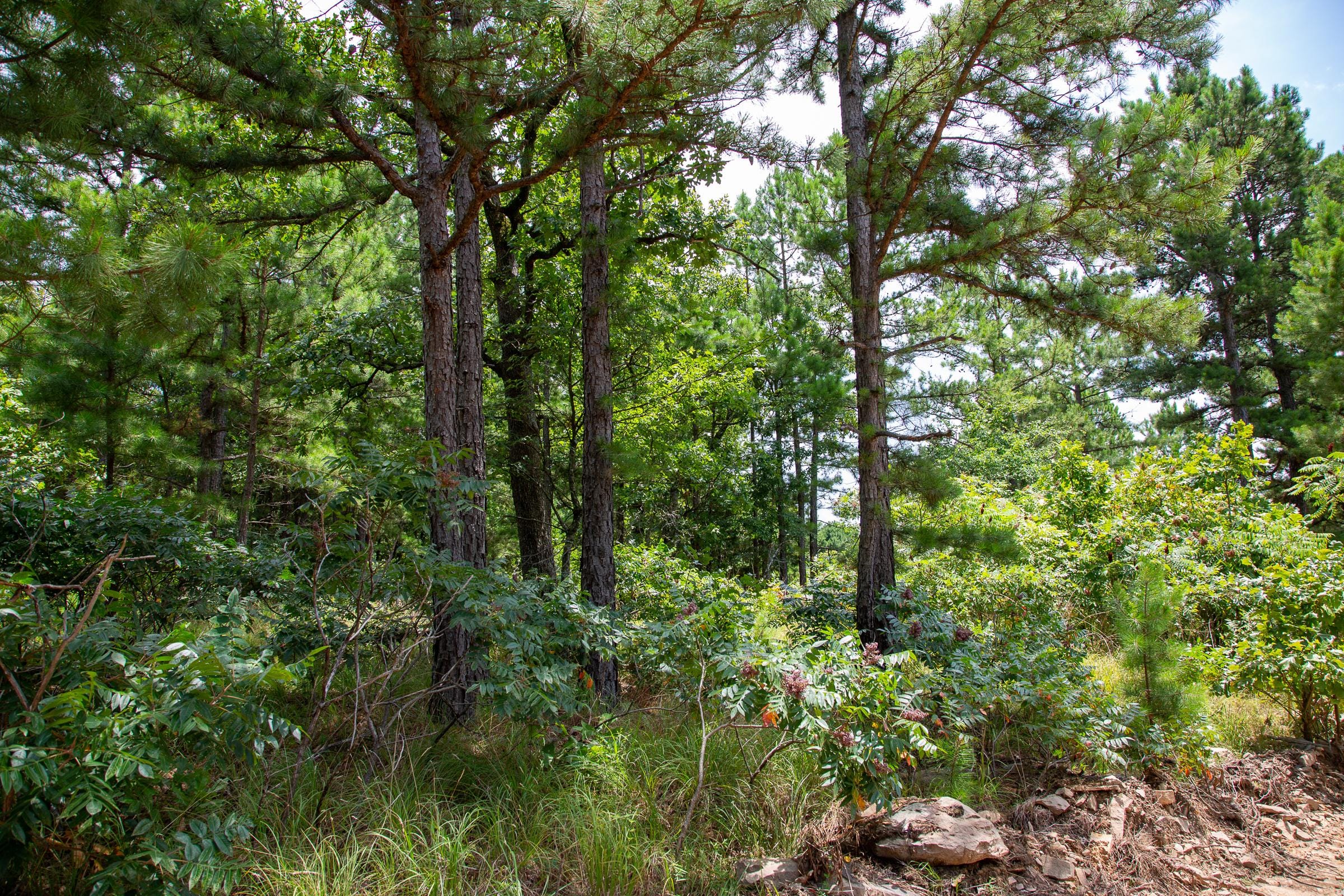 Tyler Stone Ranch Tract 21 photo 9