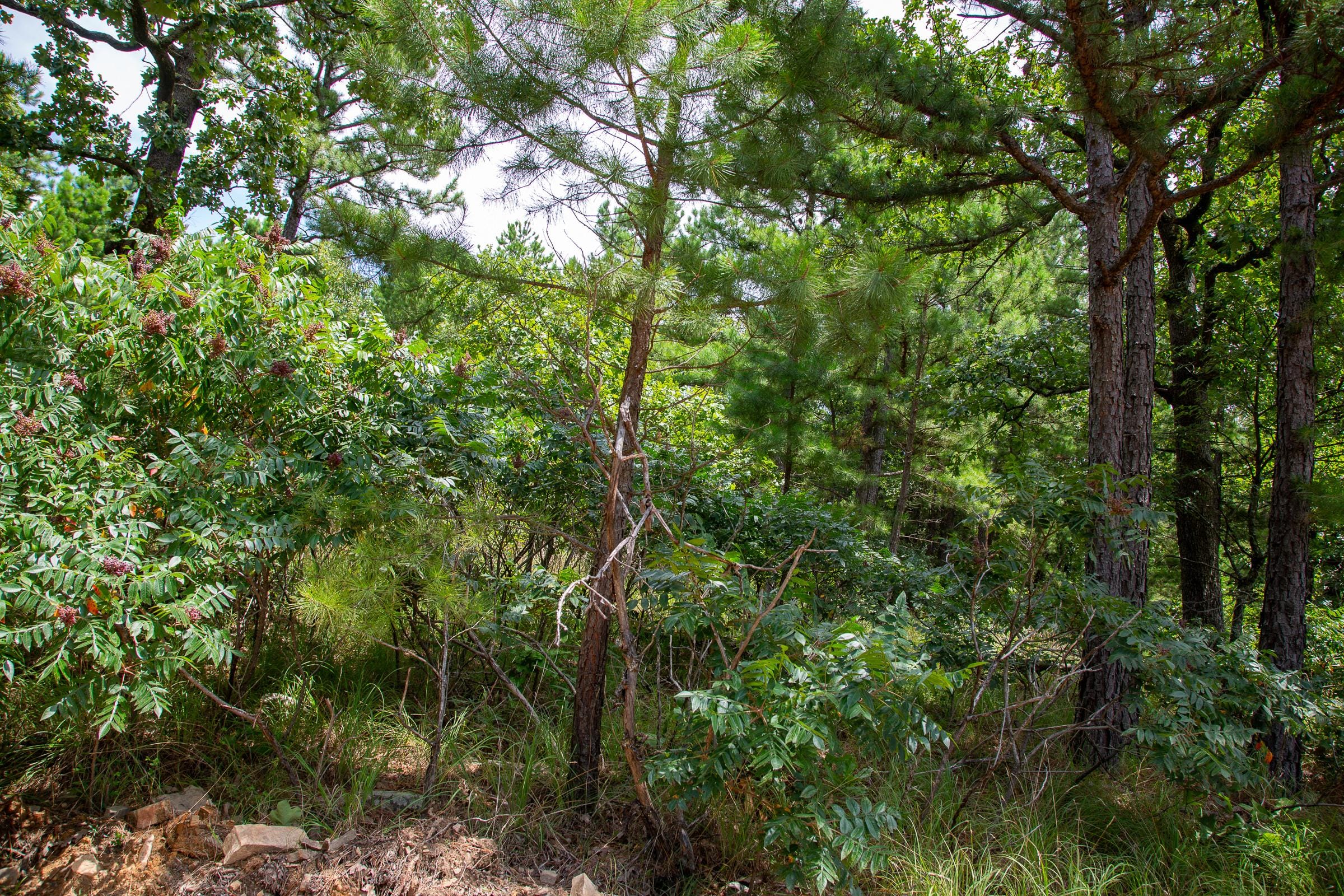Tyler Stone Ranch Tract 21 photo 10