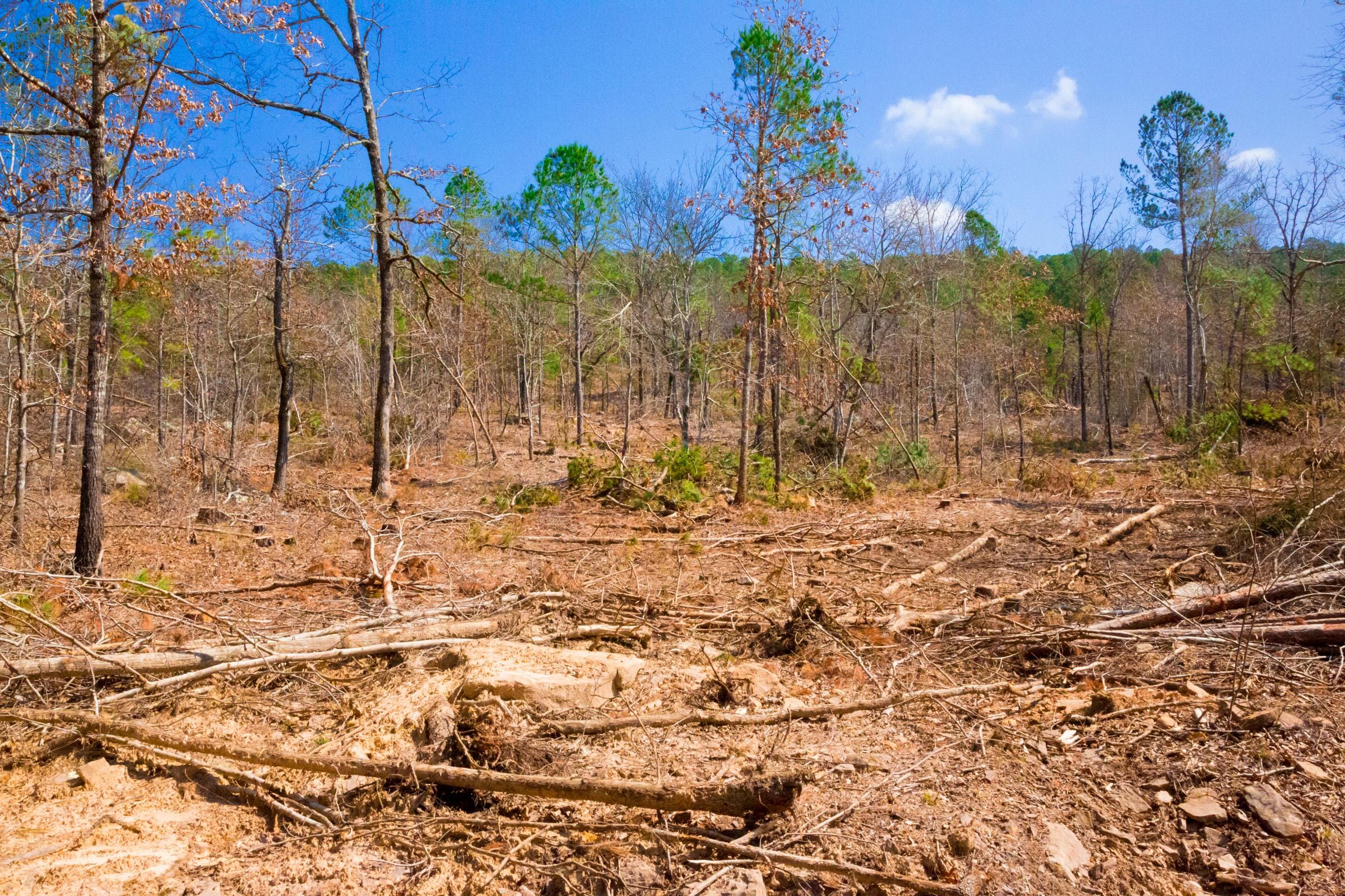 Stone Creek Phase II Tract 124 photo 1
