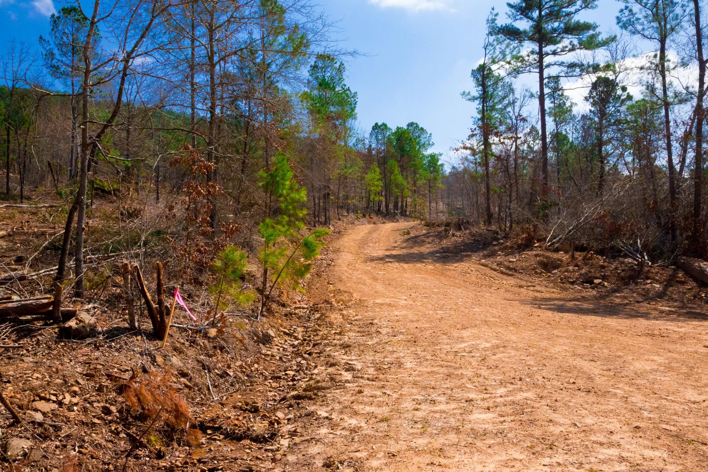 Stone Creek Phase II Tract 124 photo 2