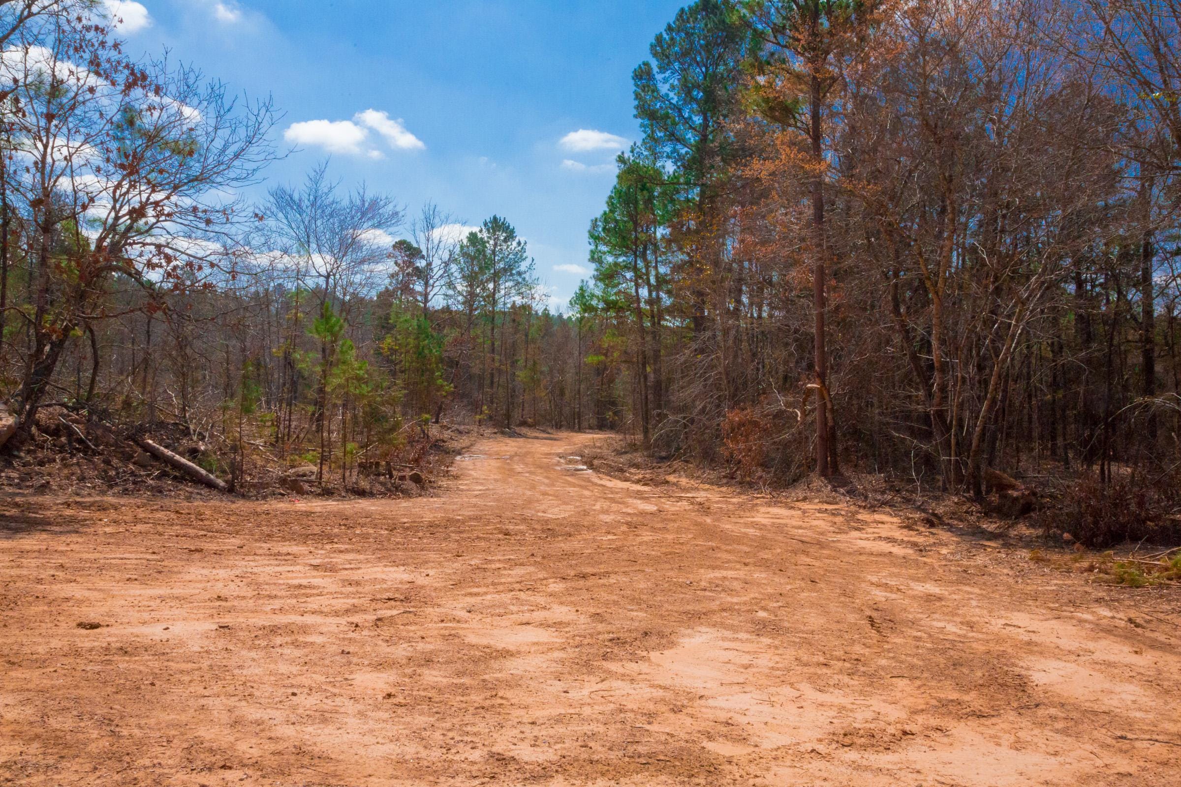 Stone Creek Phase II Tract 124 photo 3
