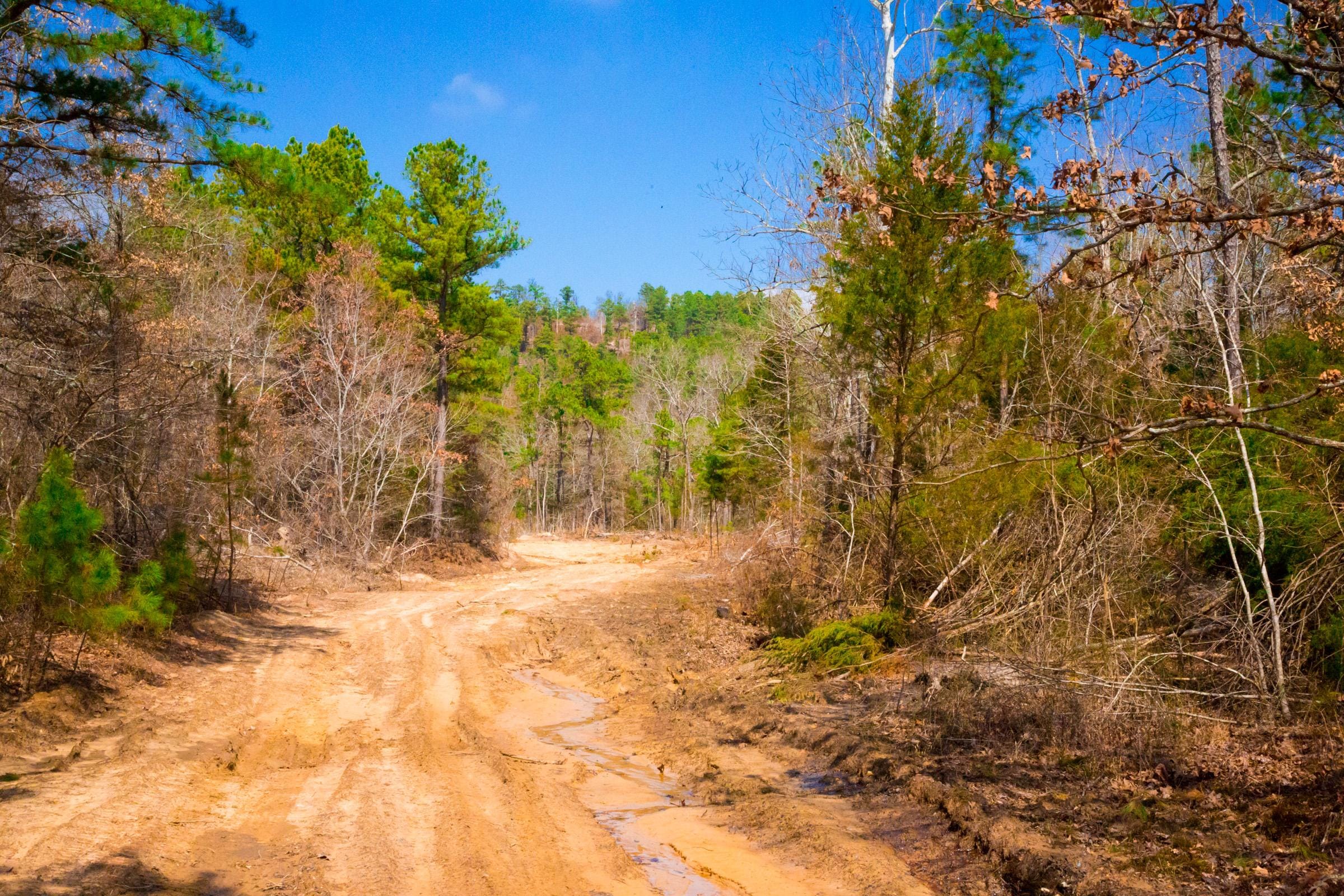 Stone Creek Phase II Tract 124 photo 4