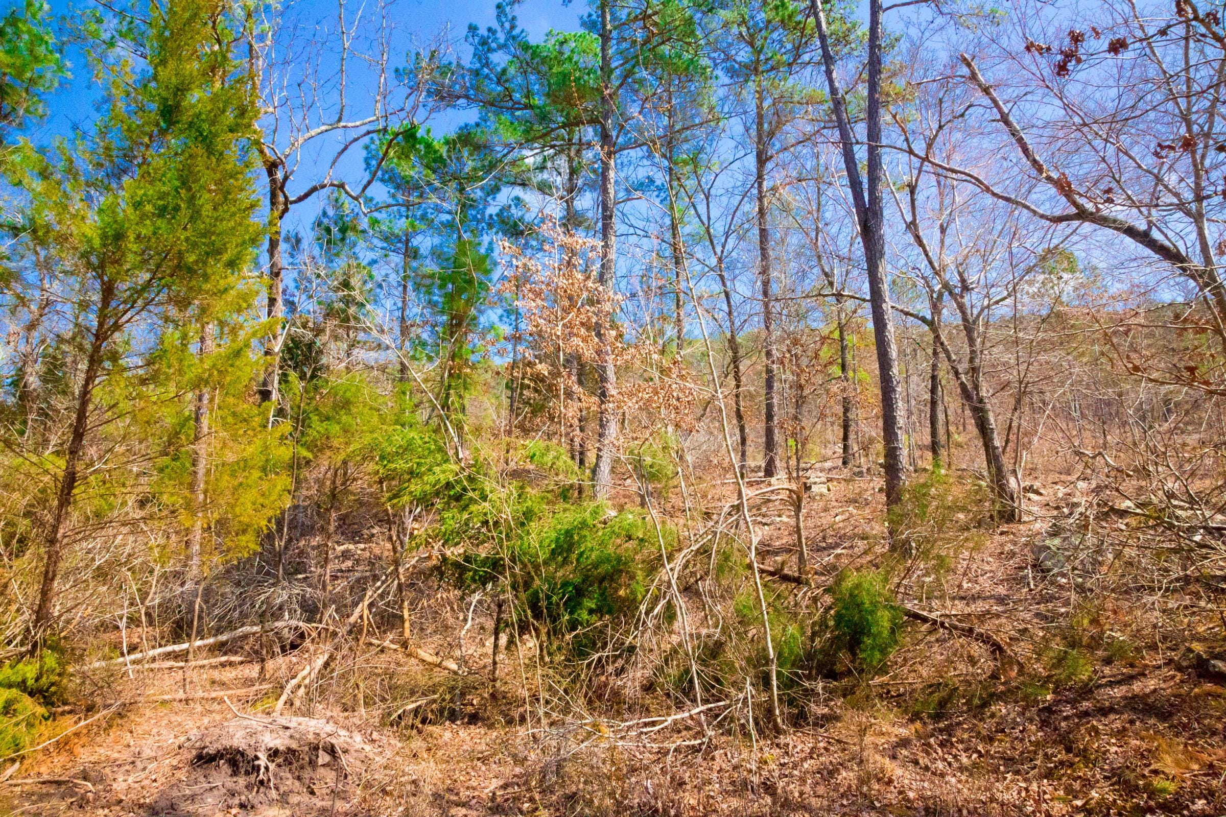 Stone Creek Phase II Tract 124 photo 5