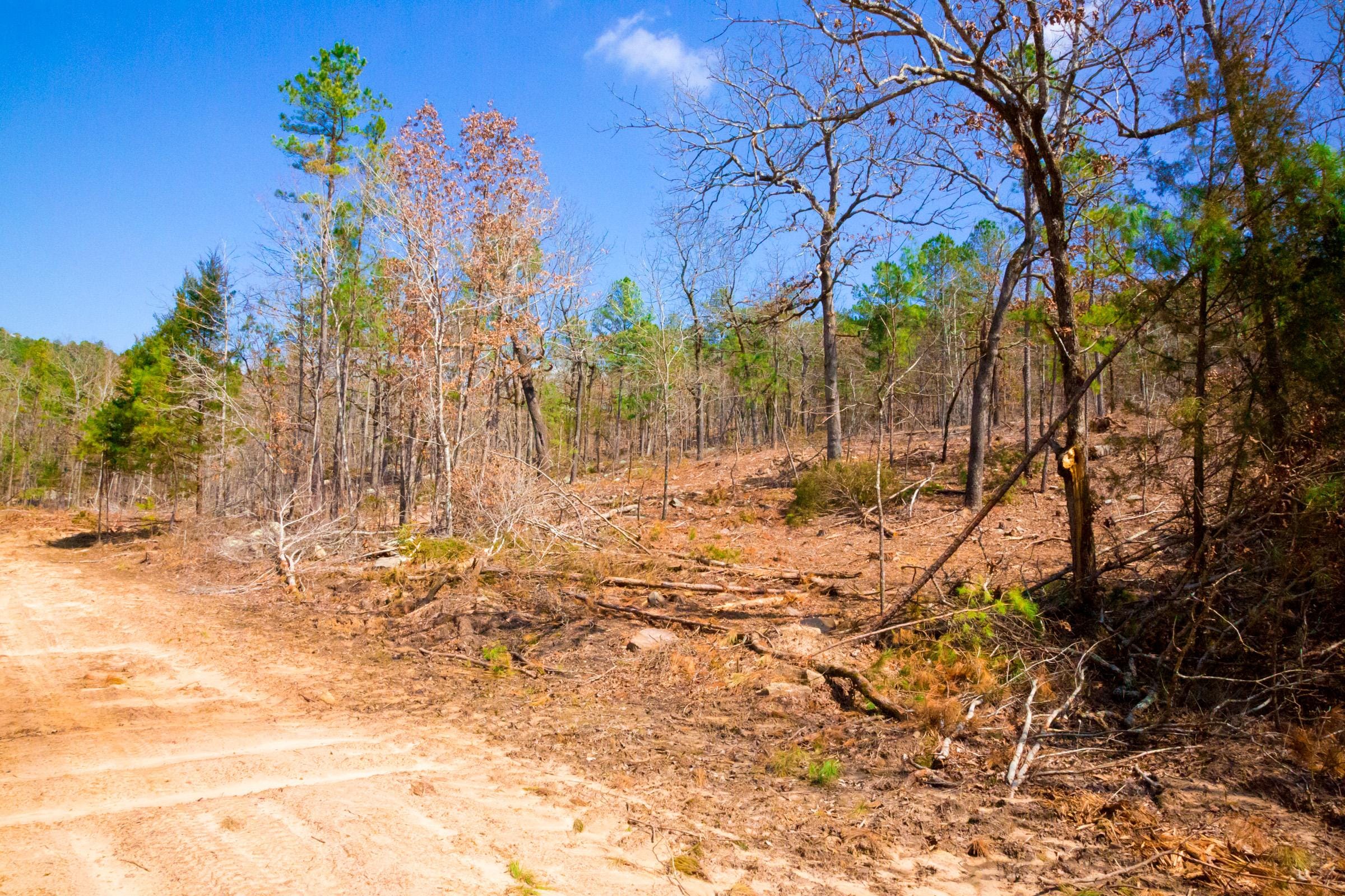 Stone Creek Phase II Tract 124 photo 6