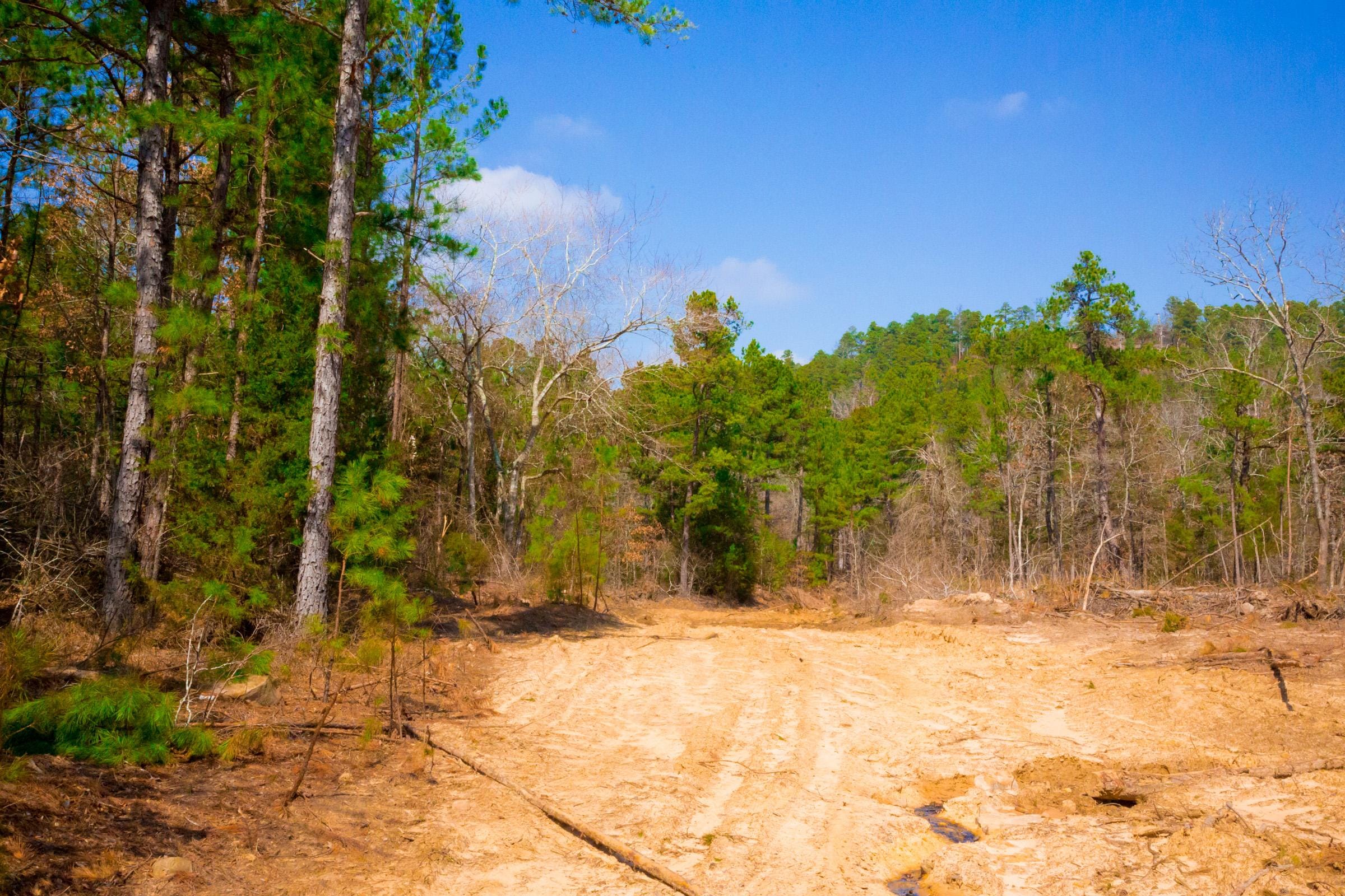 Stone Creek Phase II Tract 124 photo 7