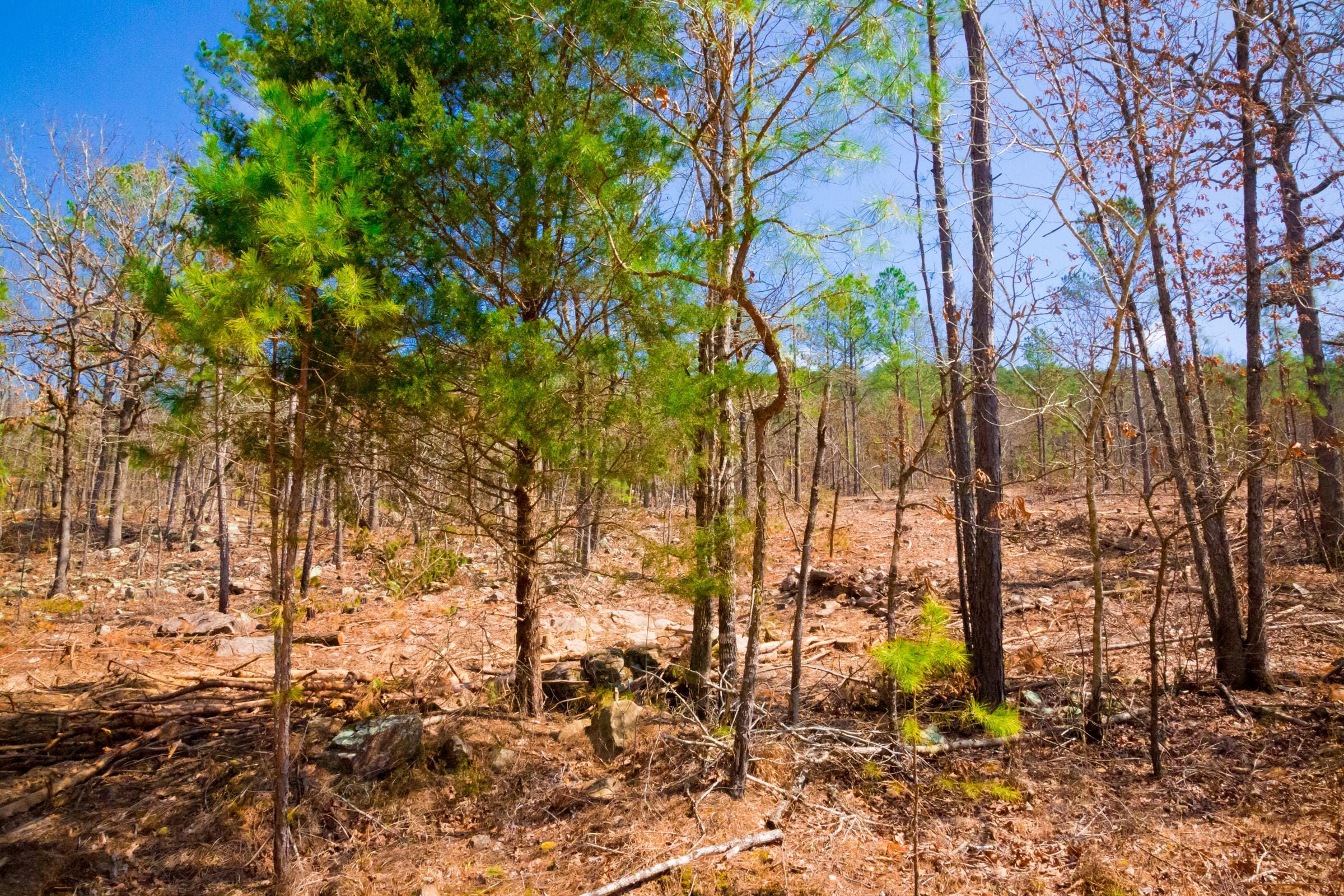 Stone Creek Phase II Tract 124 photo 8