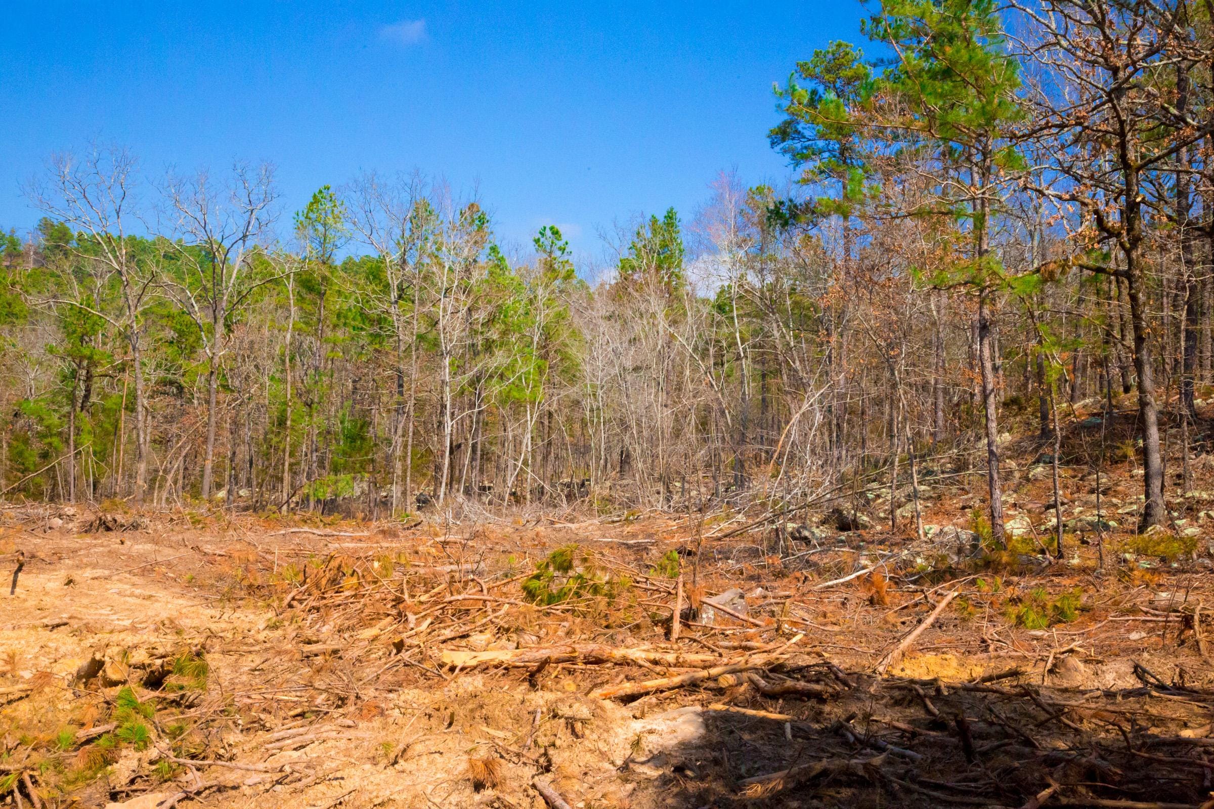 Stone Creek Phase II Tract 124 photo 9