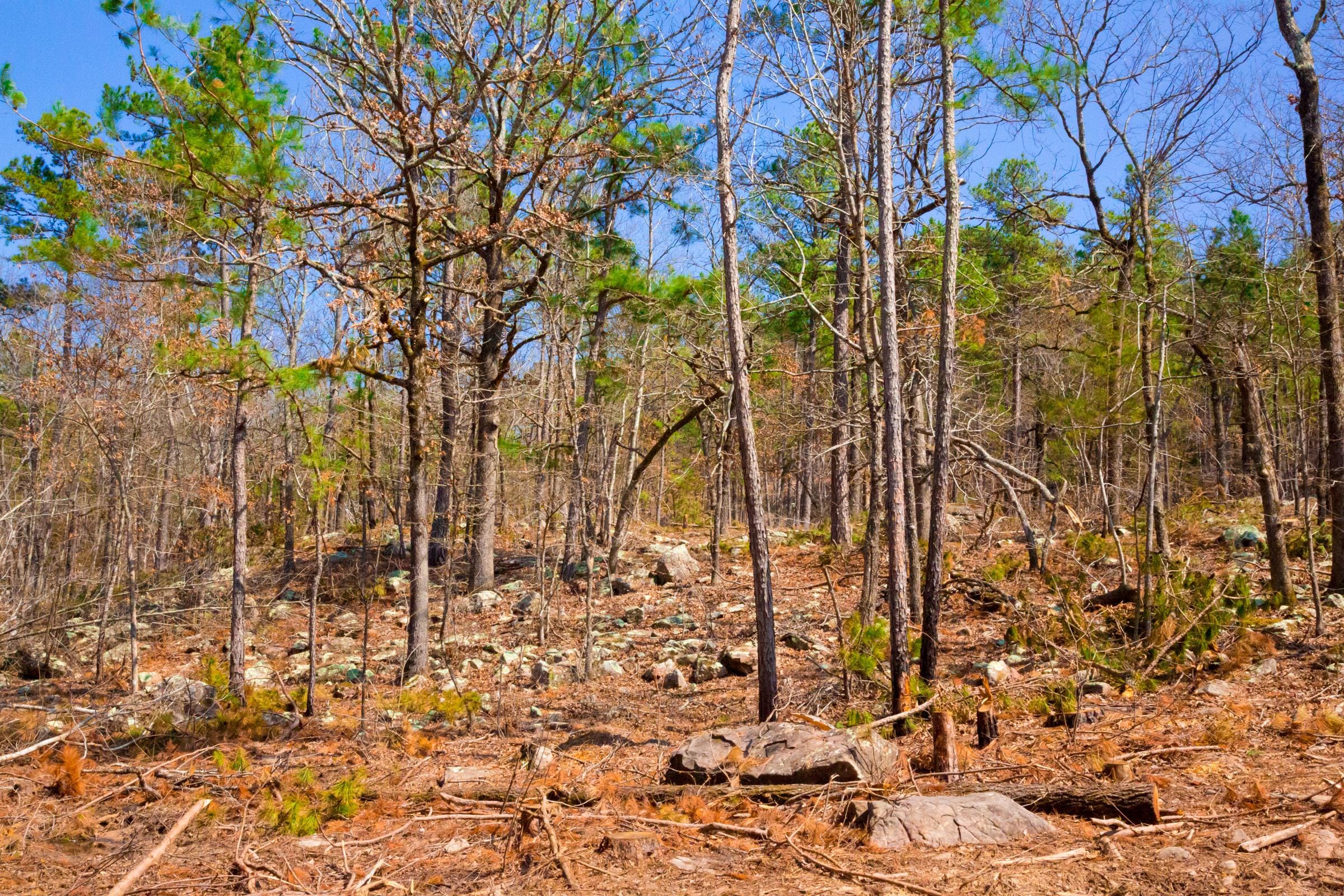 Stone Creek Phase II Tract 124 photo 10