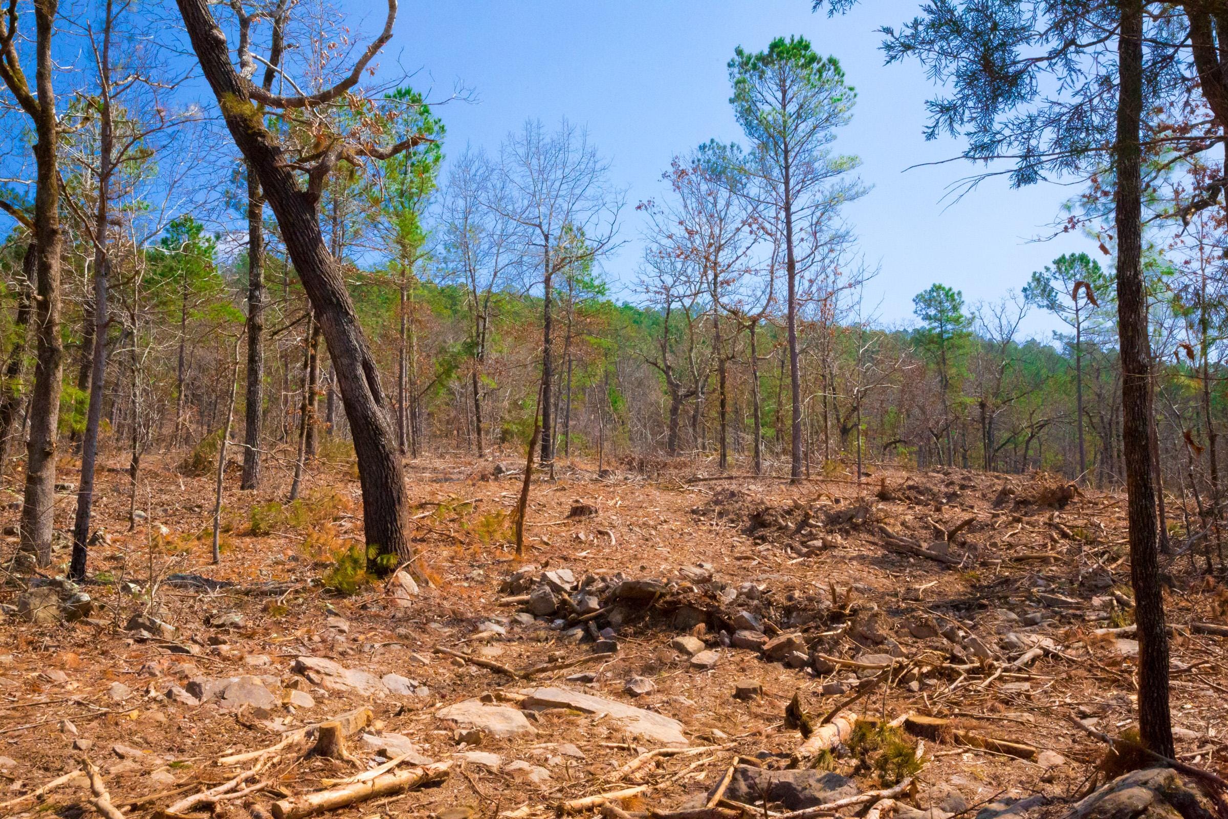 Stone Creek Phase II Tract 124 photo 11
