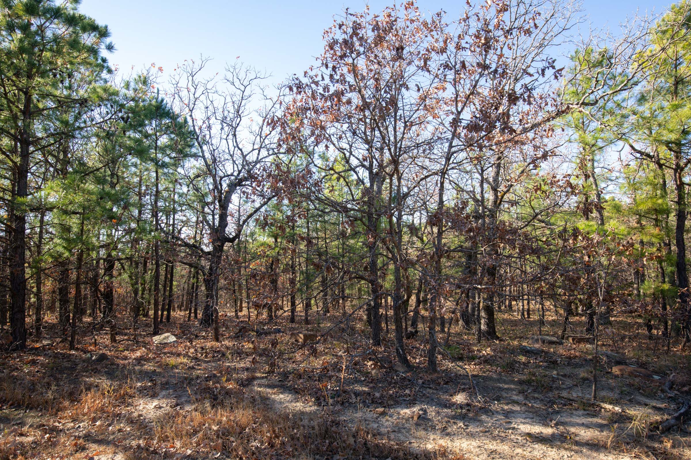 Stone Bridge Phase II Tract 82 photo 2