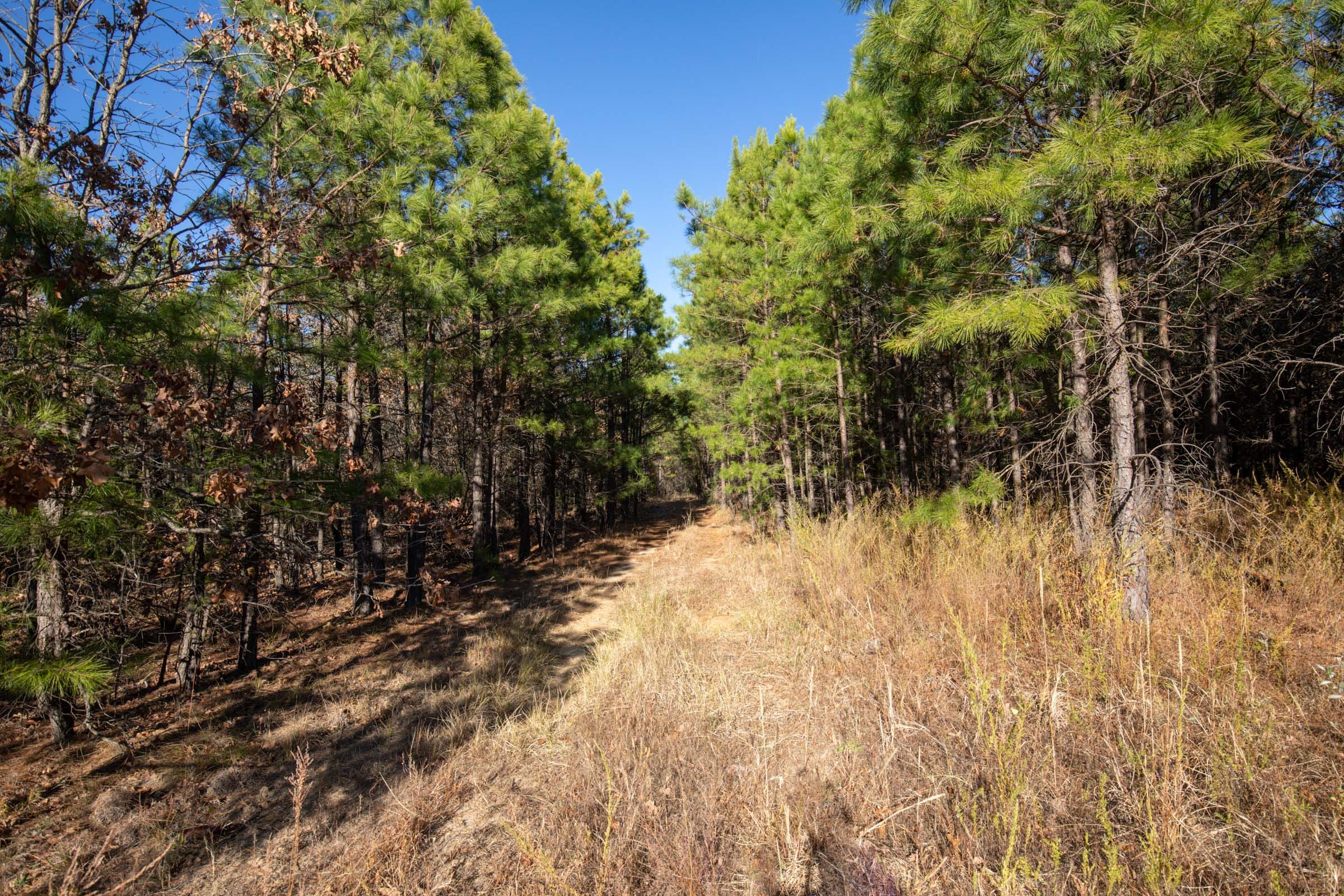 Stone Bridge Phase II Tract 82 photo 3