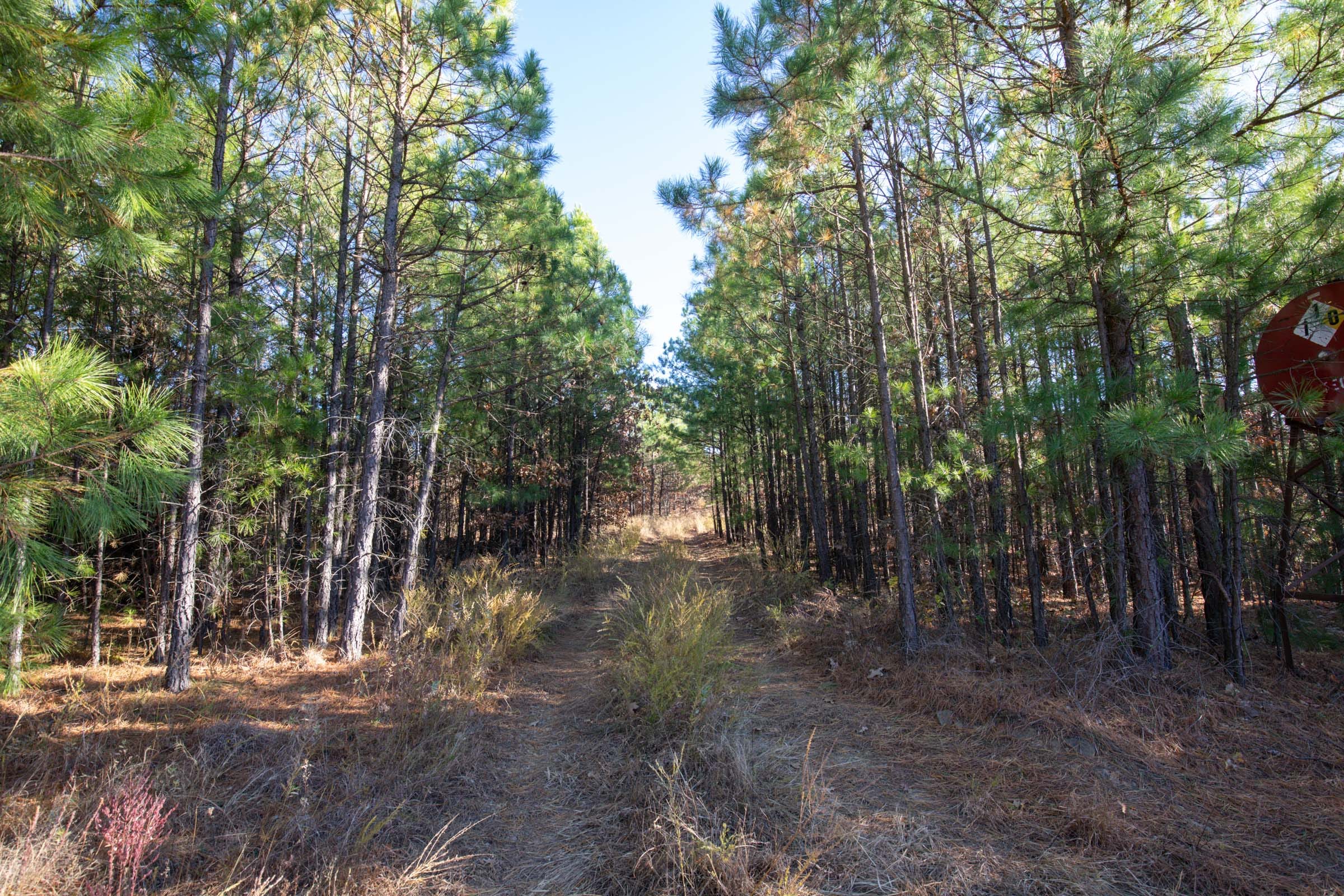 Stone Bridge Phase II Tract 82 photo 4