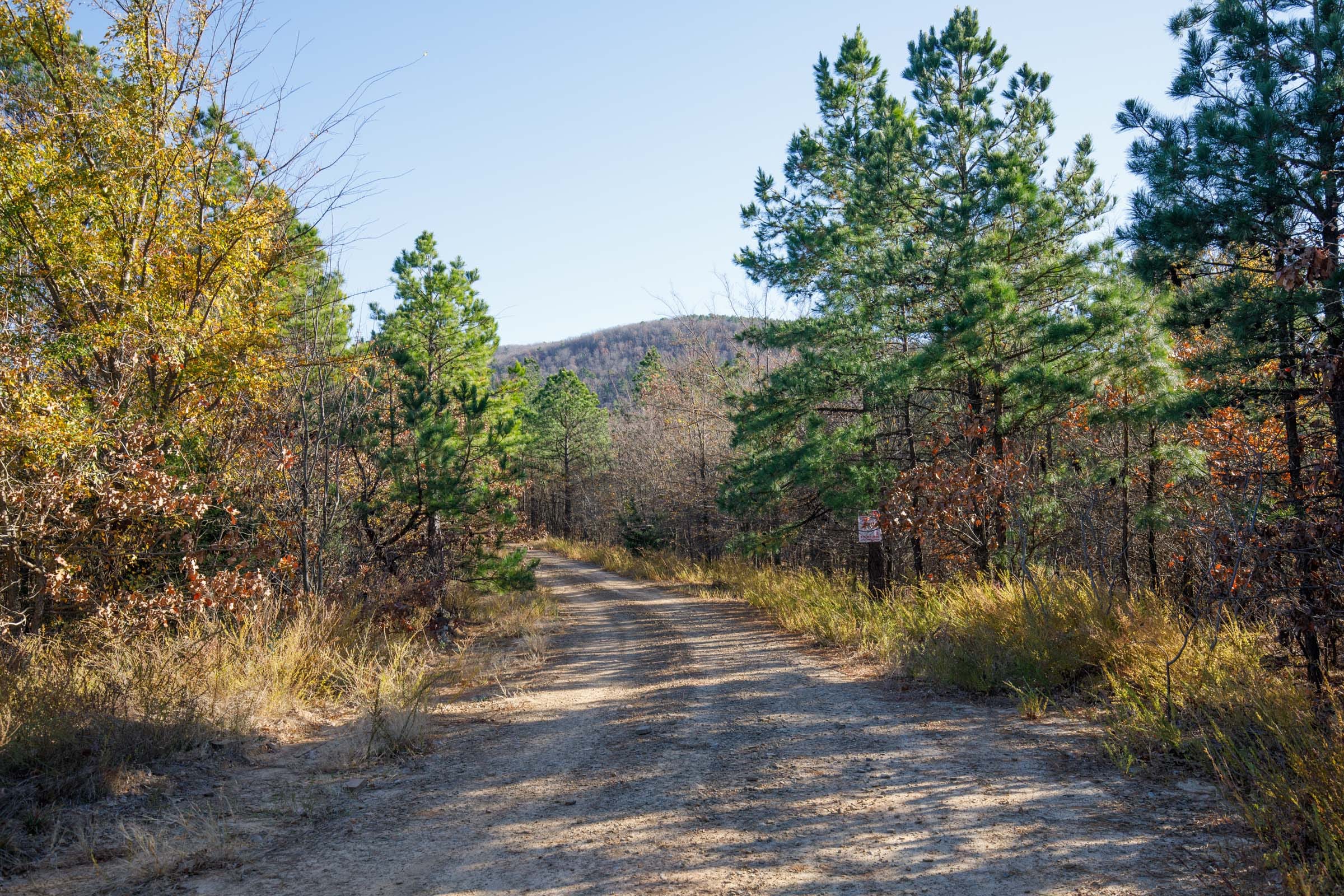 Stone Bridge Phase II Tract 82 photo 1