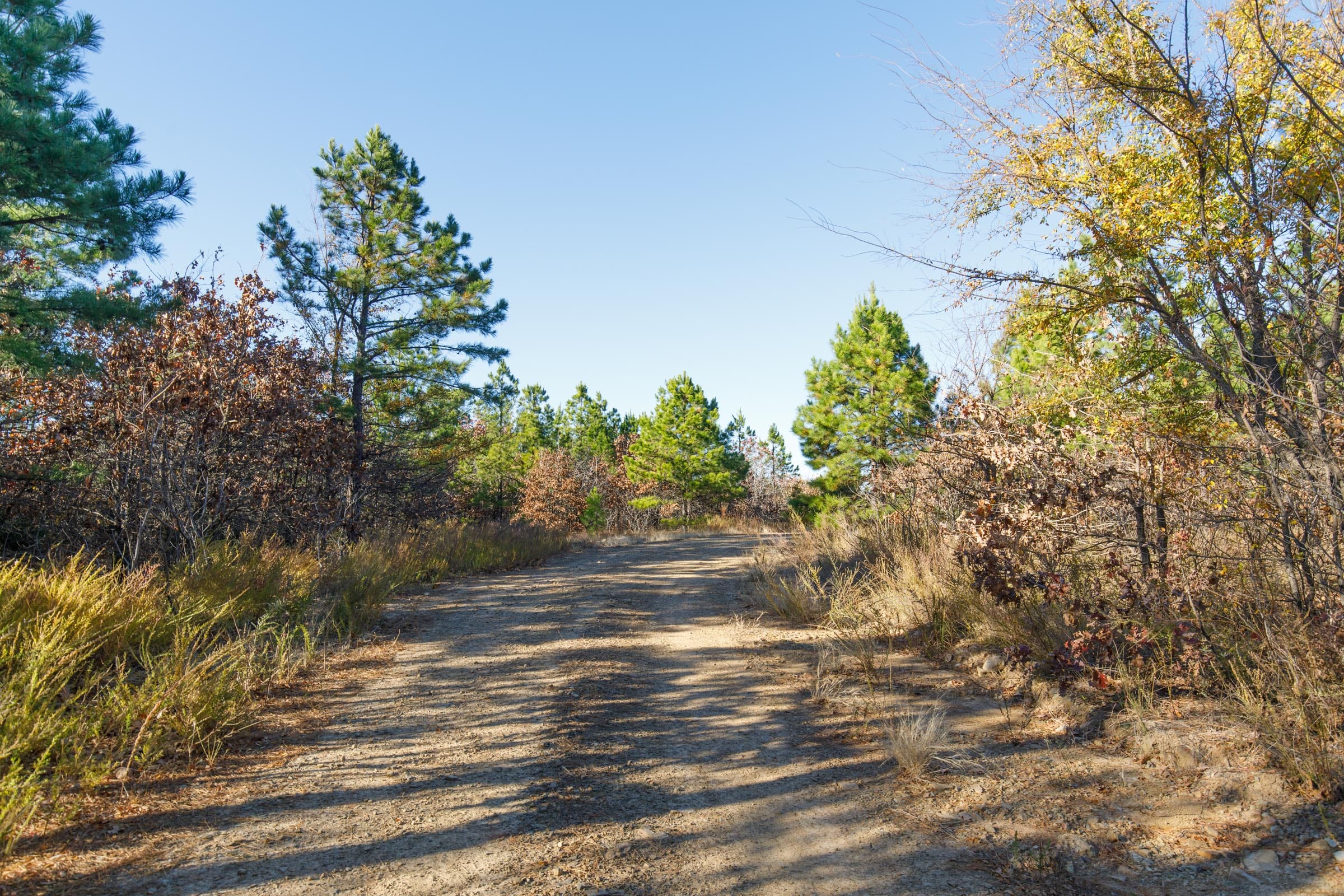 Stone Bridge Phase II Tract 82 photo 7