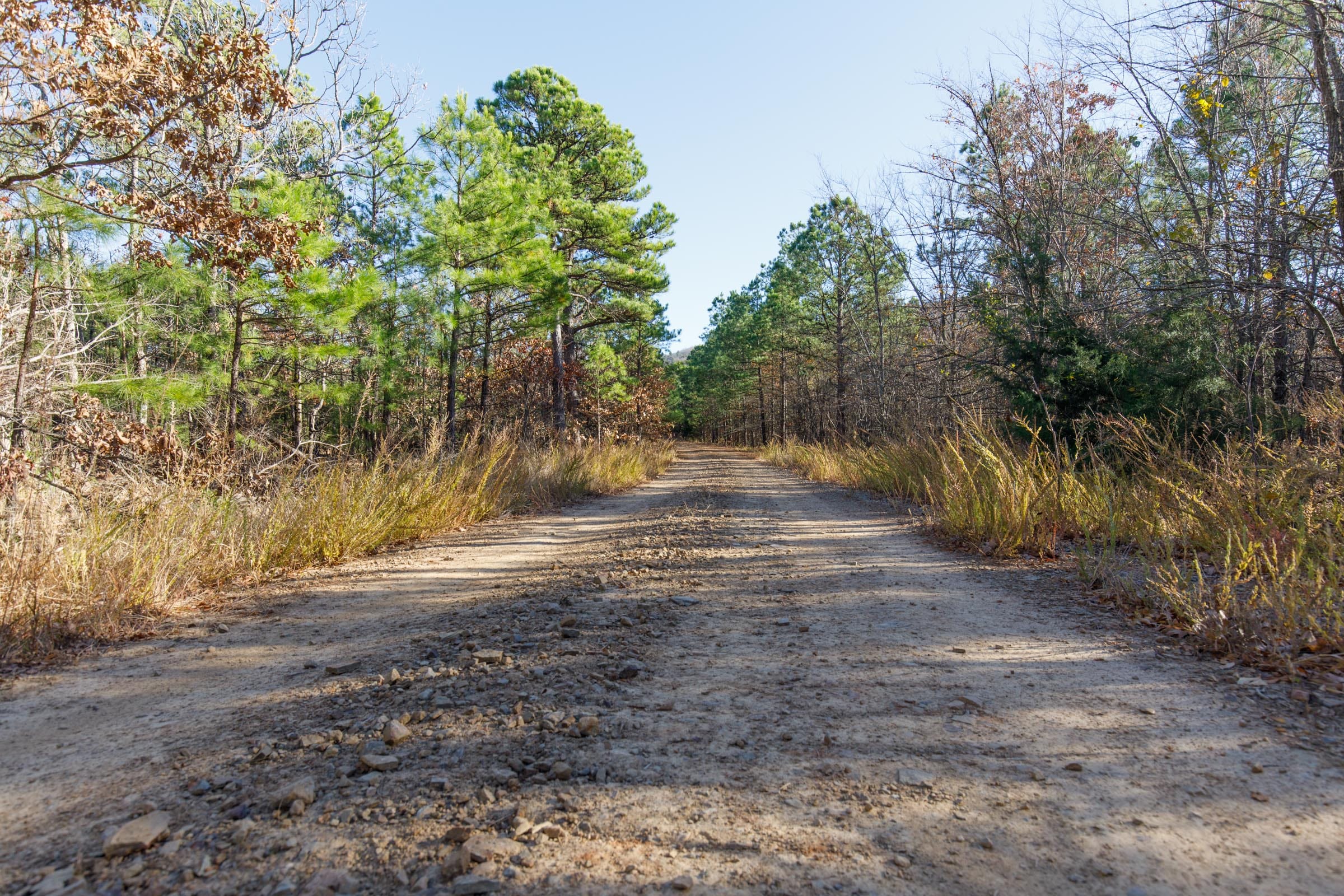 Stone Bridge Phase II Tract 82 photo 14