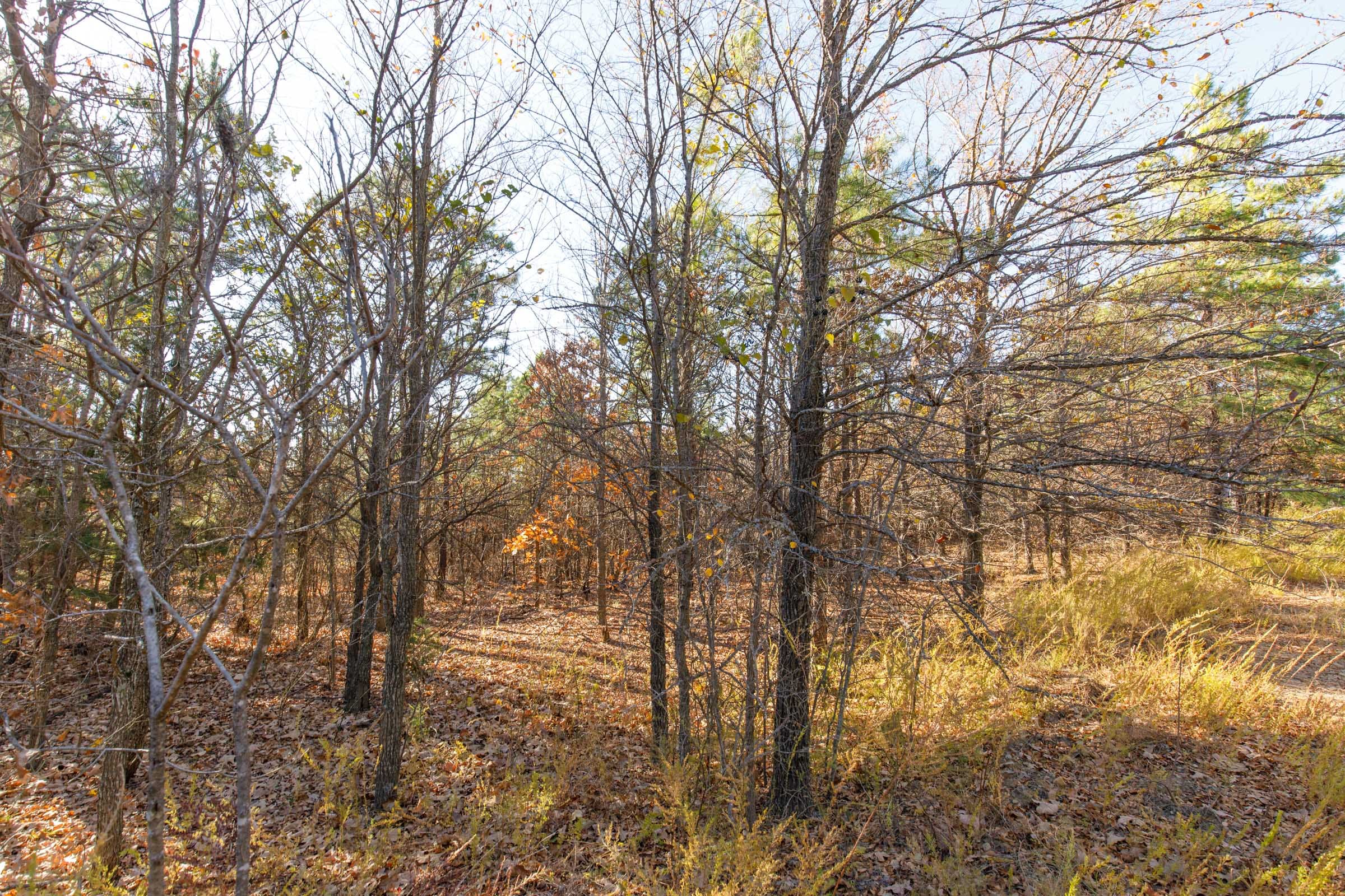 Stone Bridge Phase II Tract 82 photo 8
