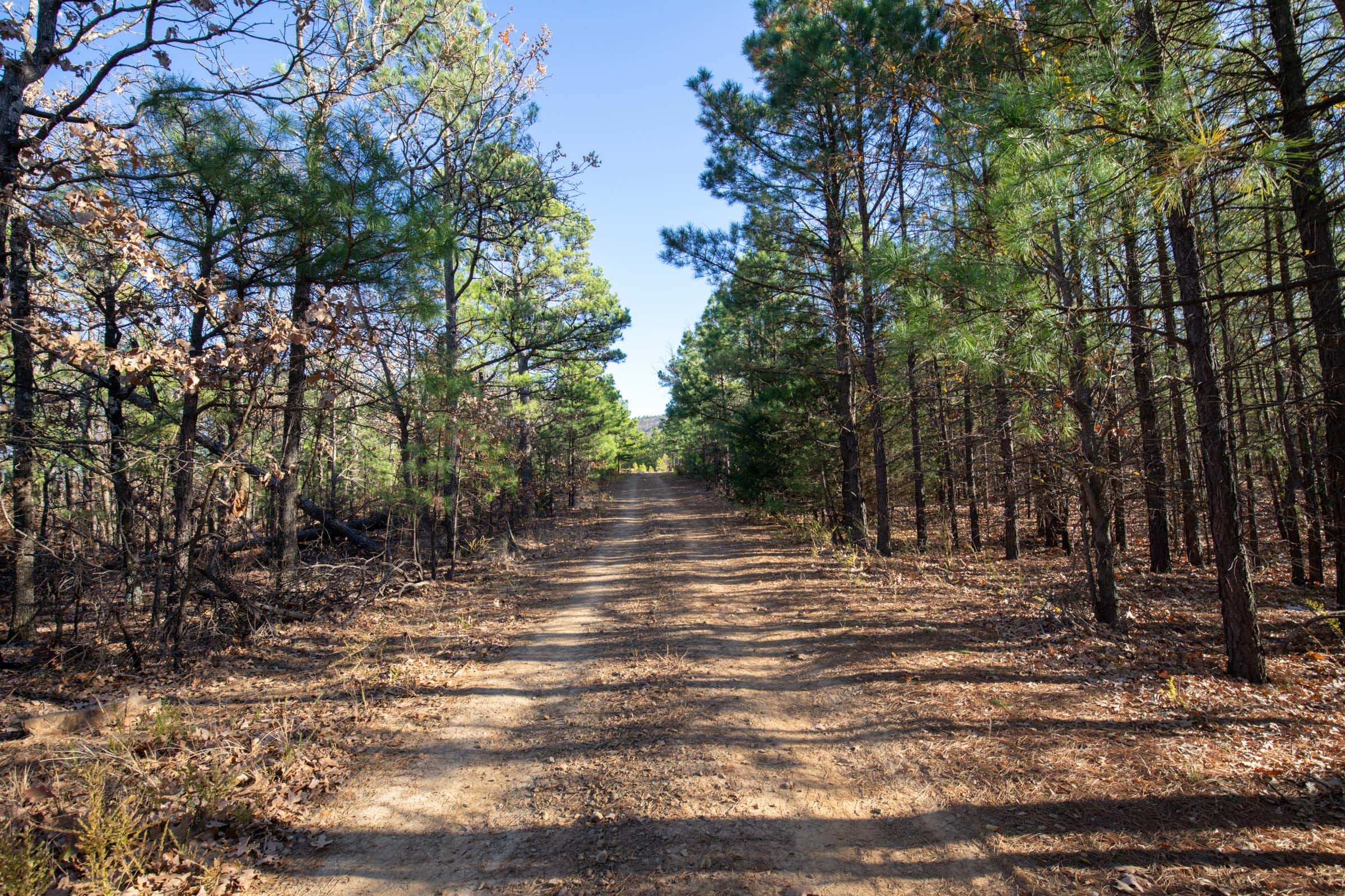 Stone Bridge Phase II Tract 82 photo 10