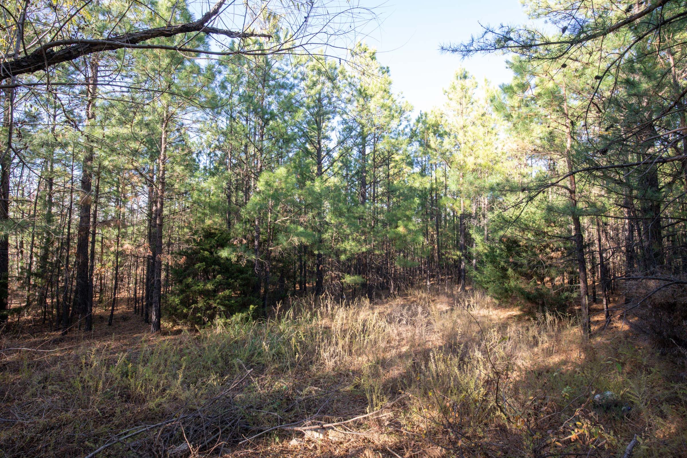 Stone Bridge Phase II Tract 82 photo 13
