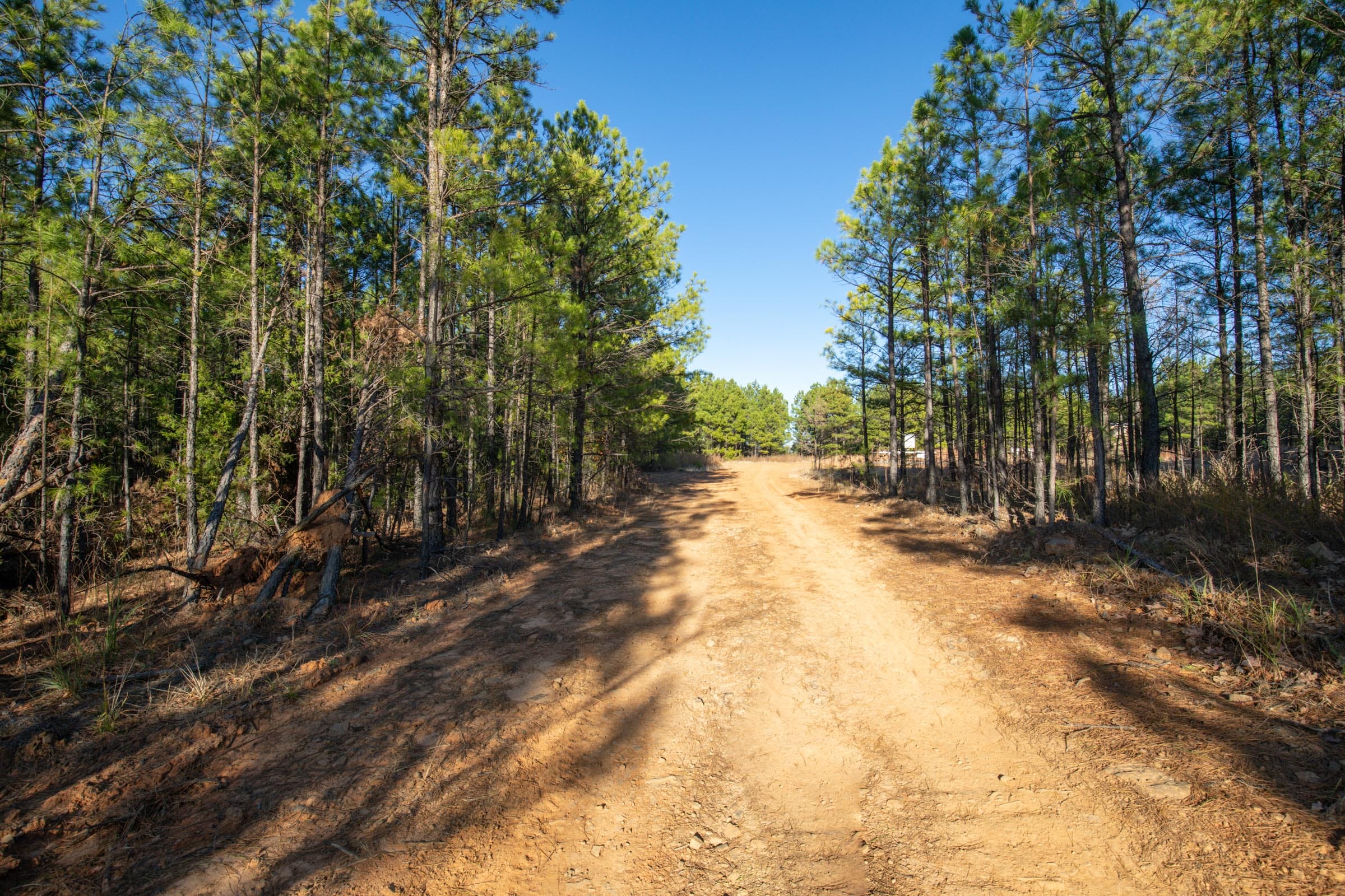 Stone Bridge Phase II Tract 82 photo 16