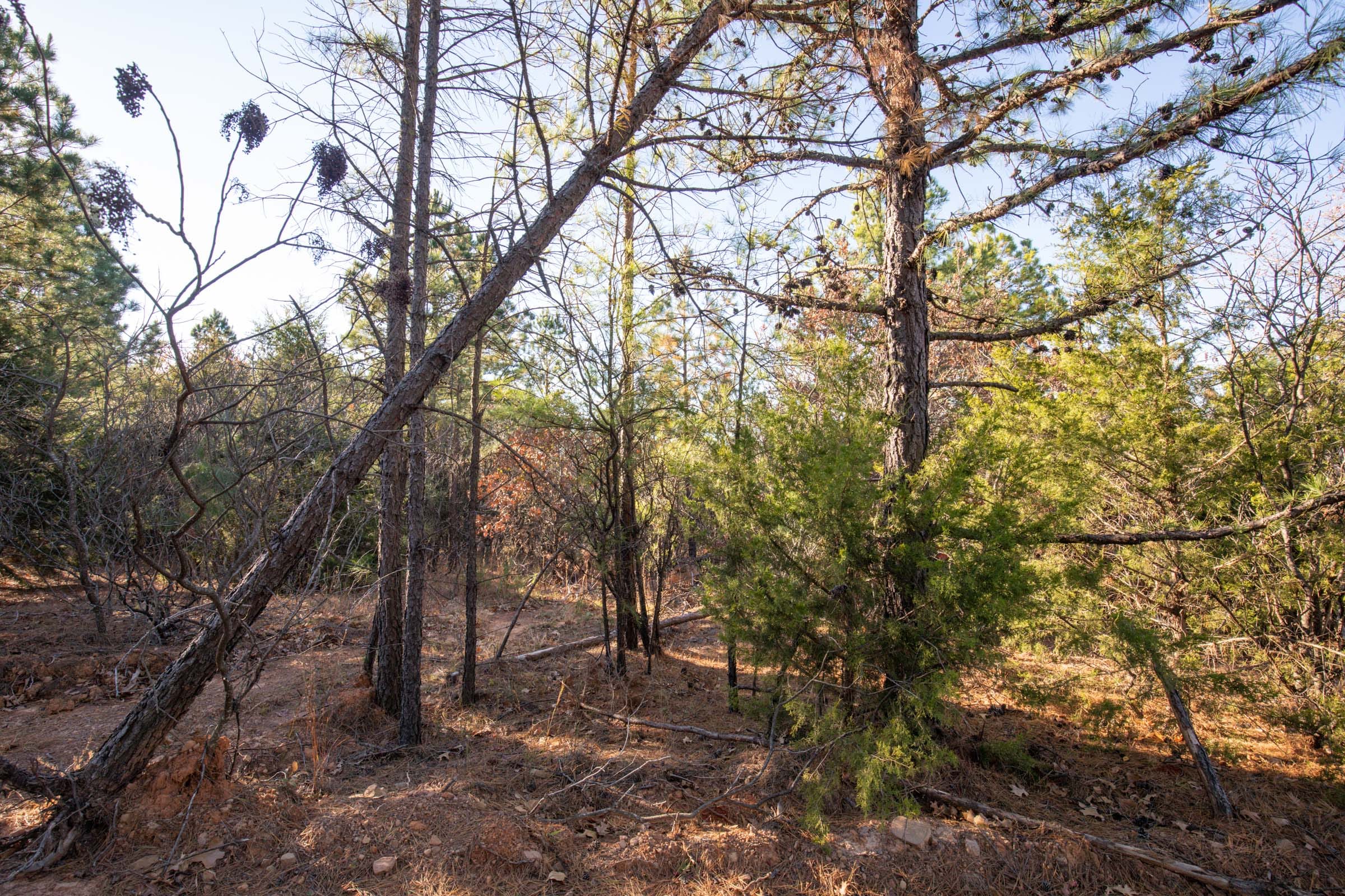 Stone Bridge Phase II Tract 82 photo 17