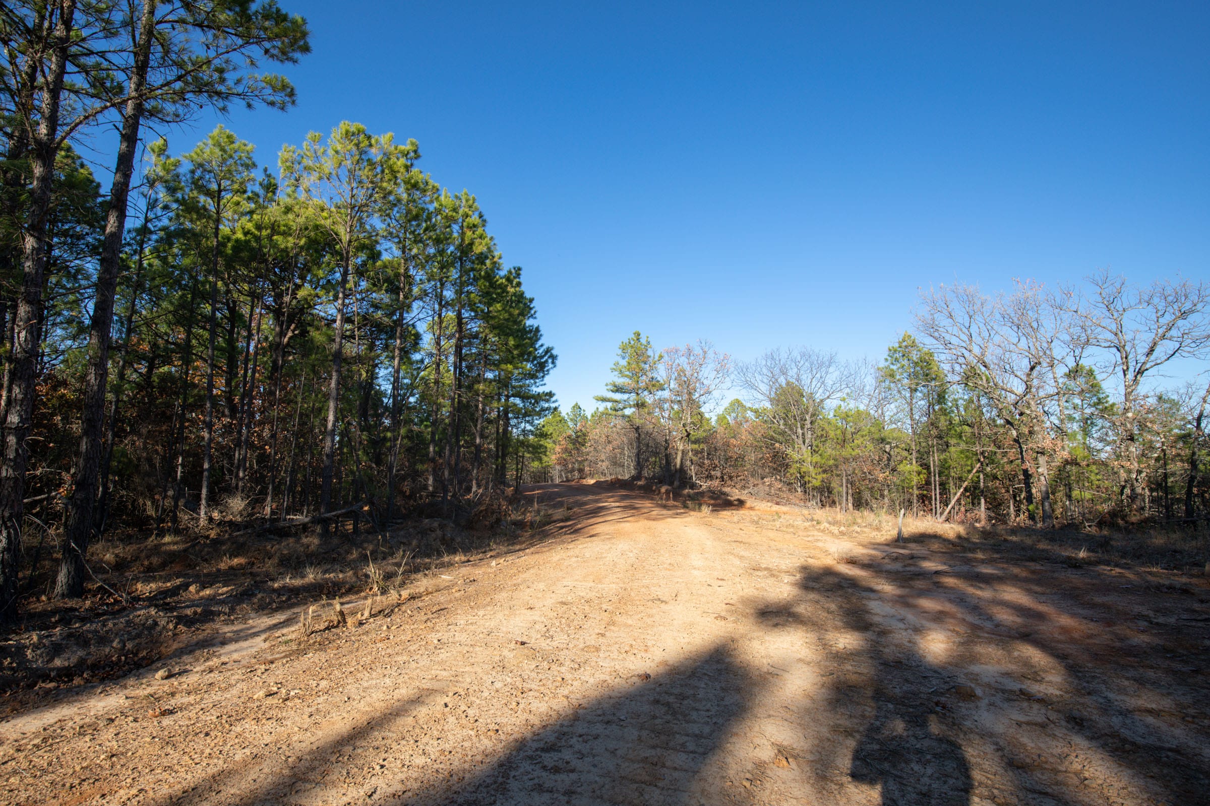 Stone Bridge Phase II Tract 82 photo 18