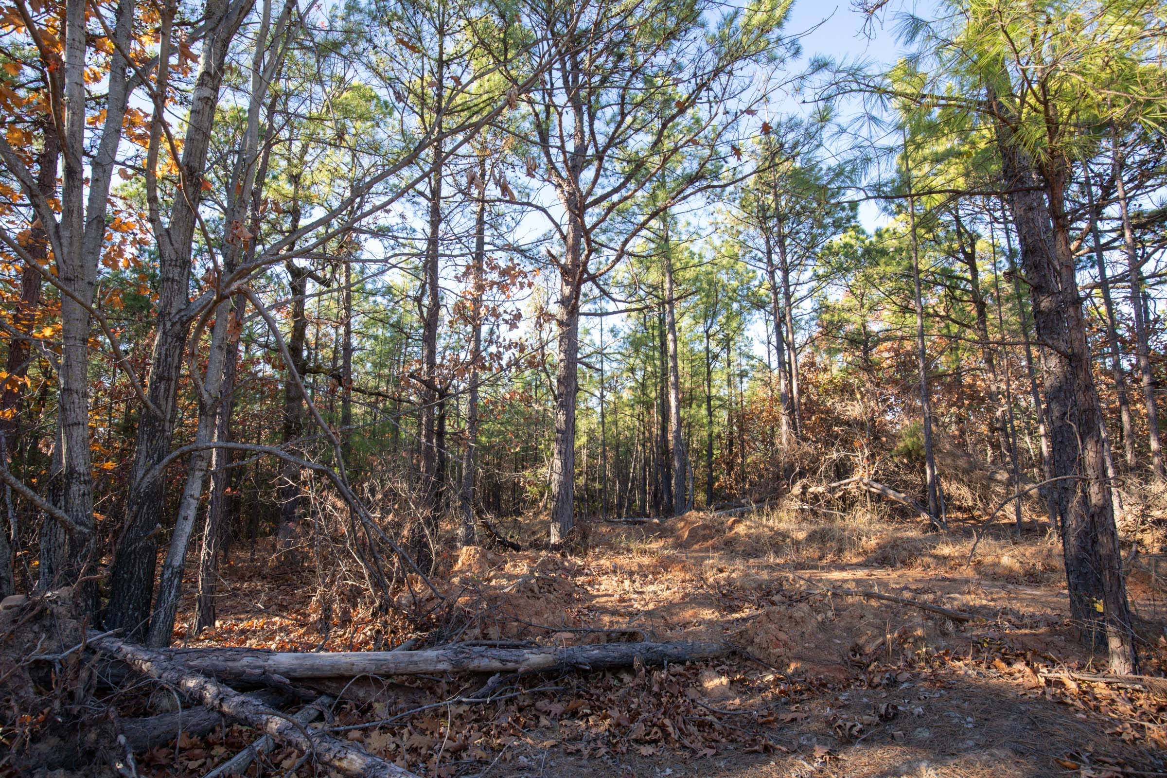 Stone Bridge Phase II Tract 82 photo 19