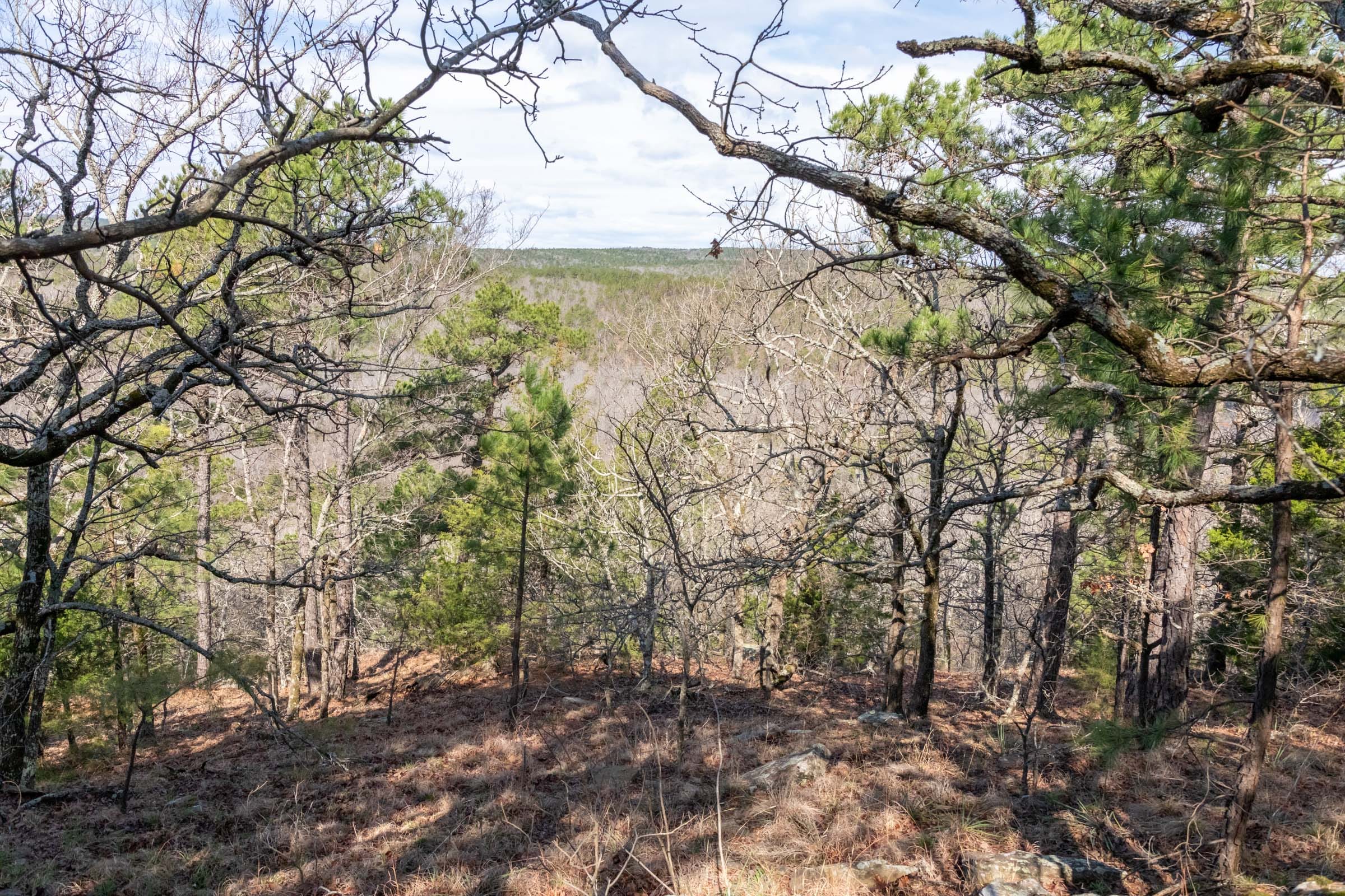 Stone Bridge Phase III Tract 185 photo 2