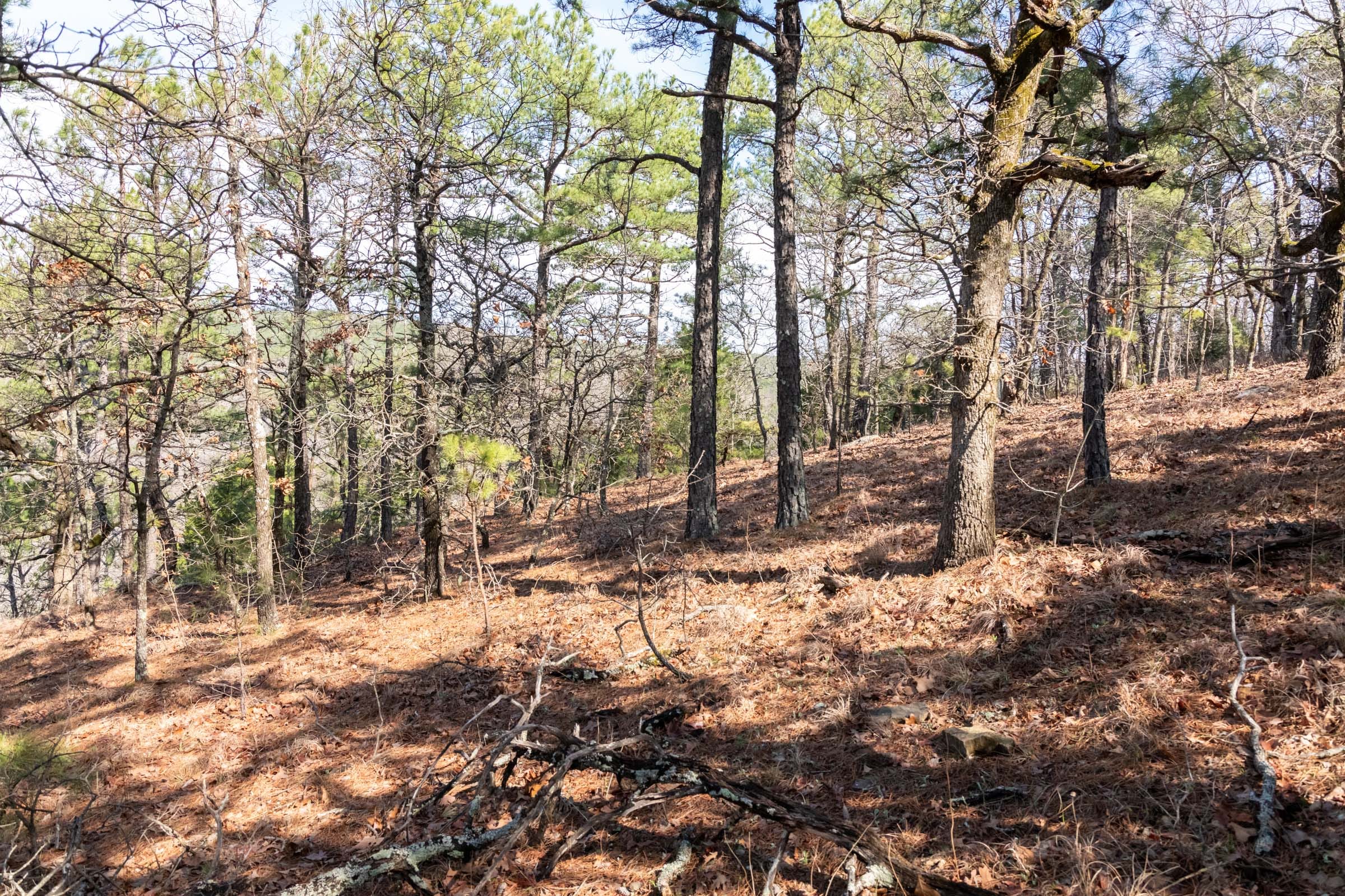 Stone Bridge Phase III Tract 185 photo 4