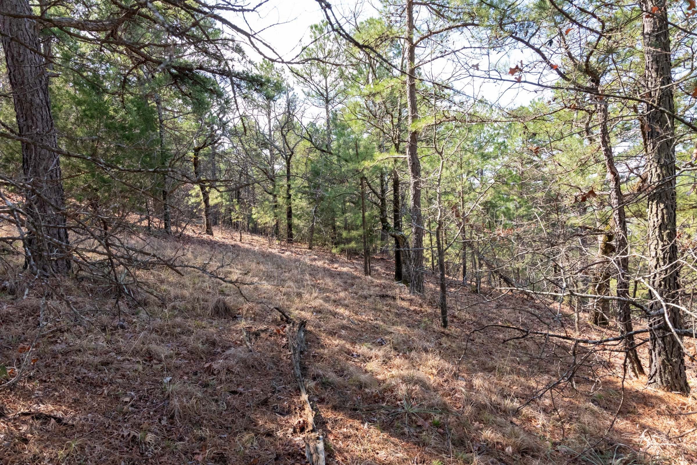 Stone Bridge Phase III Tract 185 photo 5