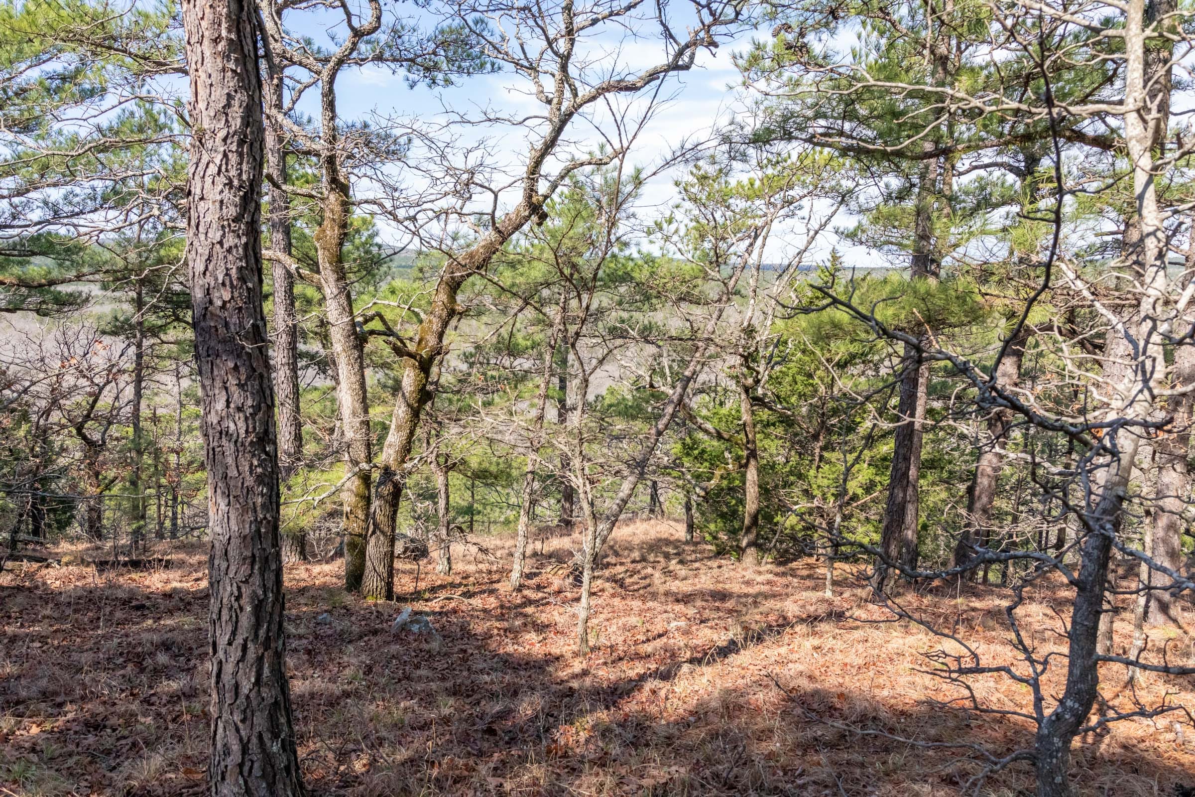 Stone Bridge Phase III Tract 185 photo 6