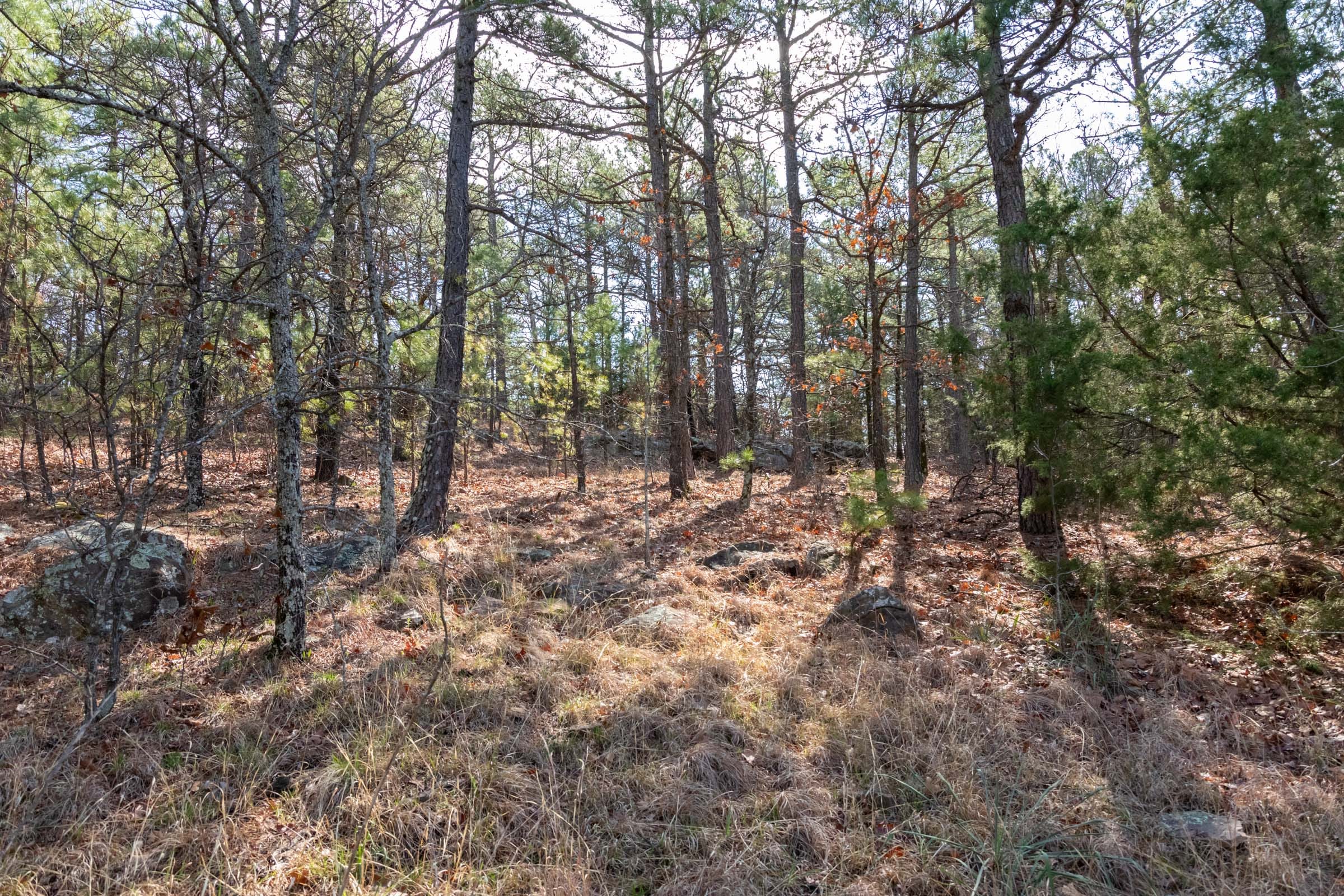 Stone Bridge Phase III Tract 185 photo 8