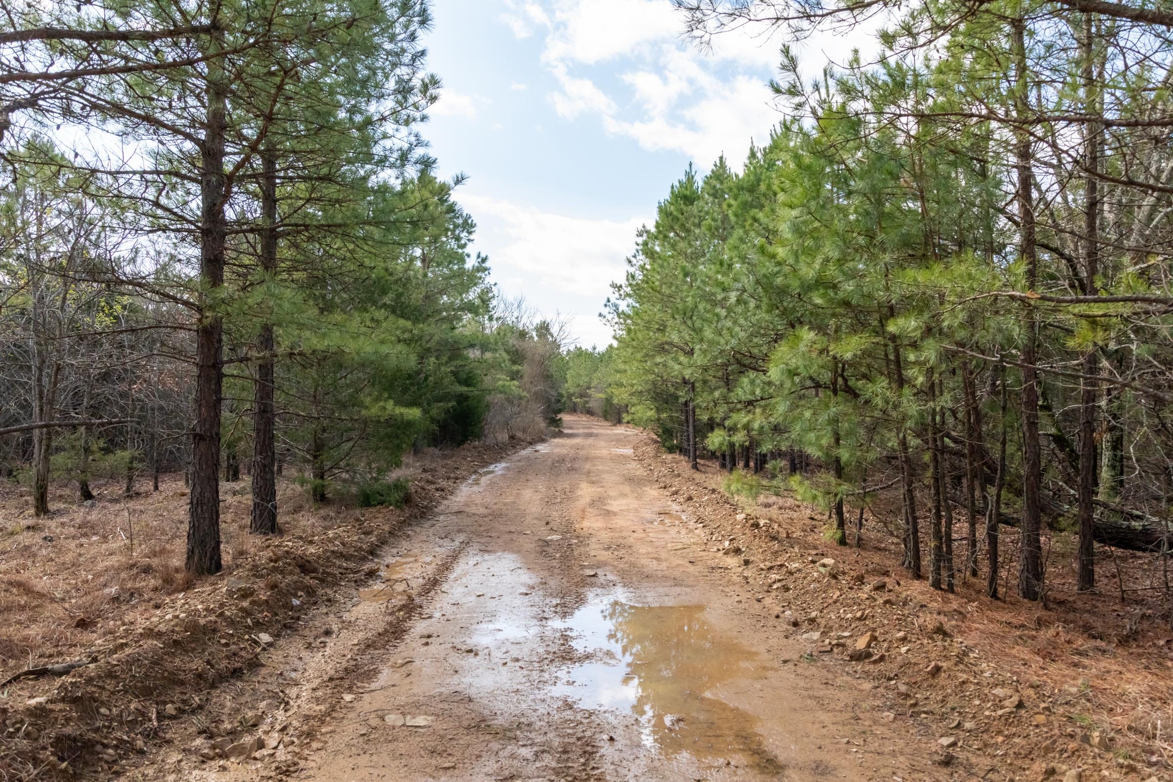 Stone Bridge Phase III Tract 185 photo 12